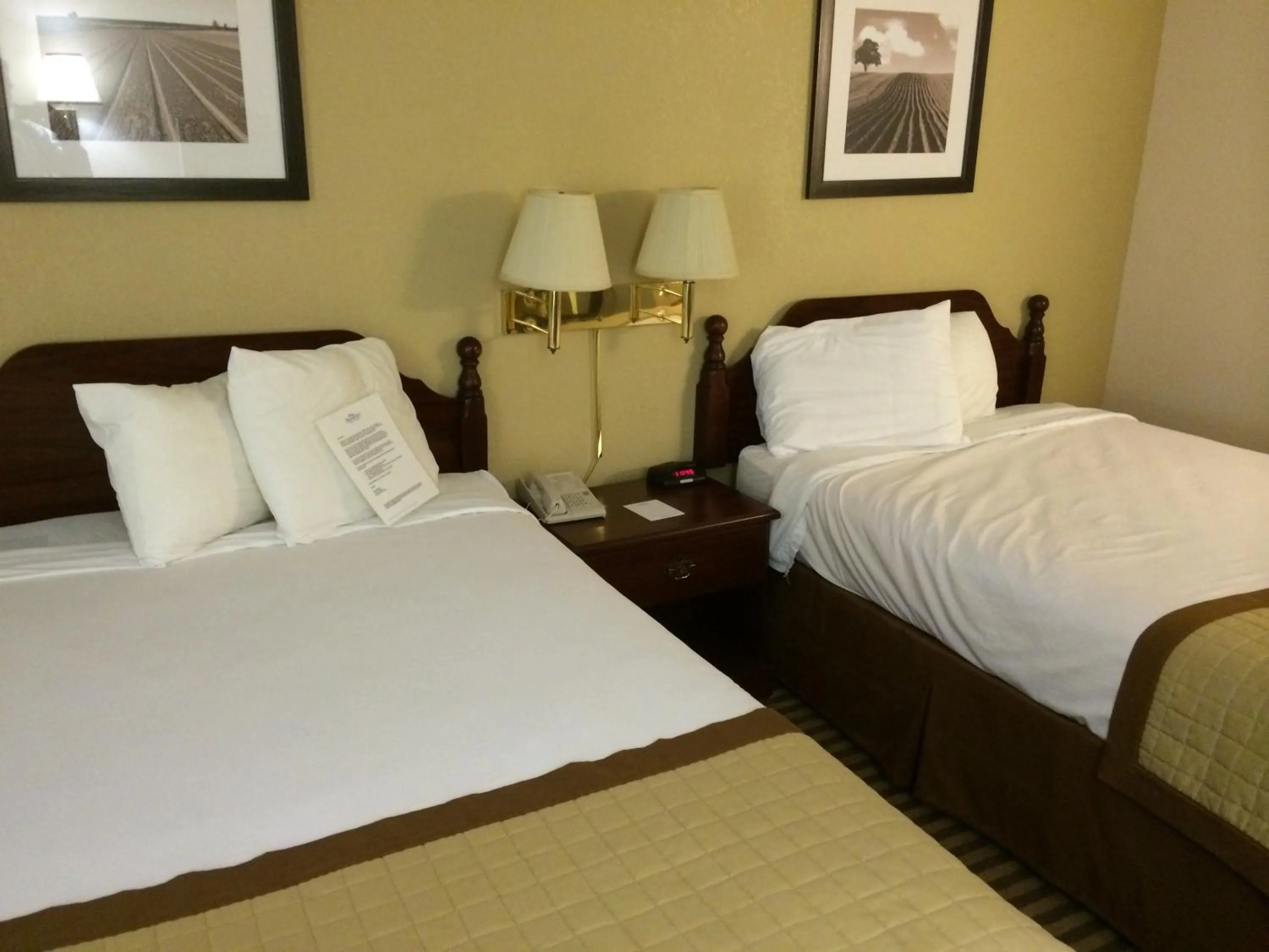 Bed in Baymont by Wyndham Metropolis