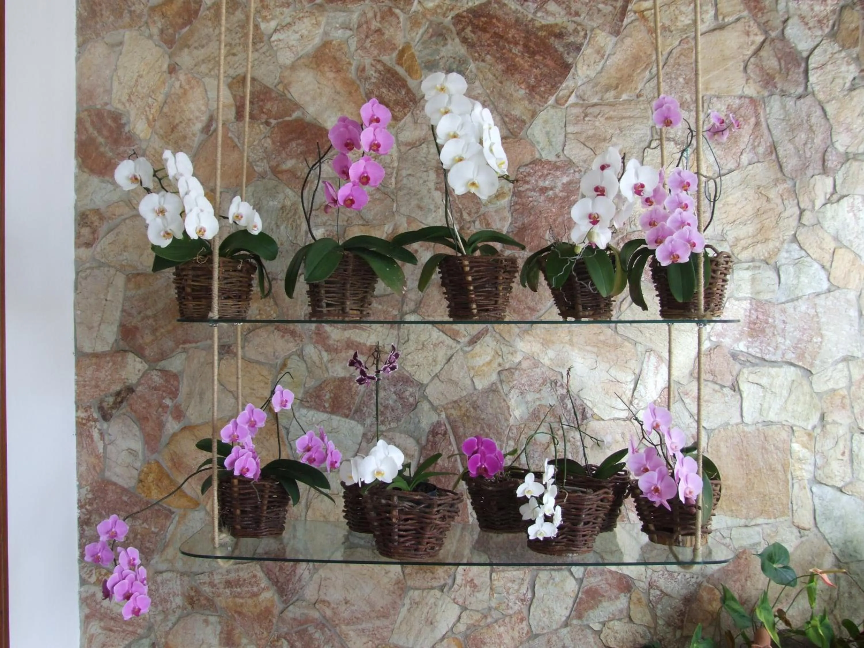 Decorative detail in Pousada Lua e Mar