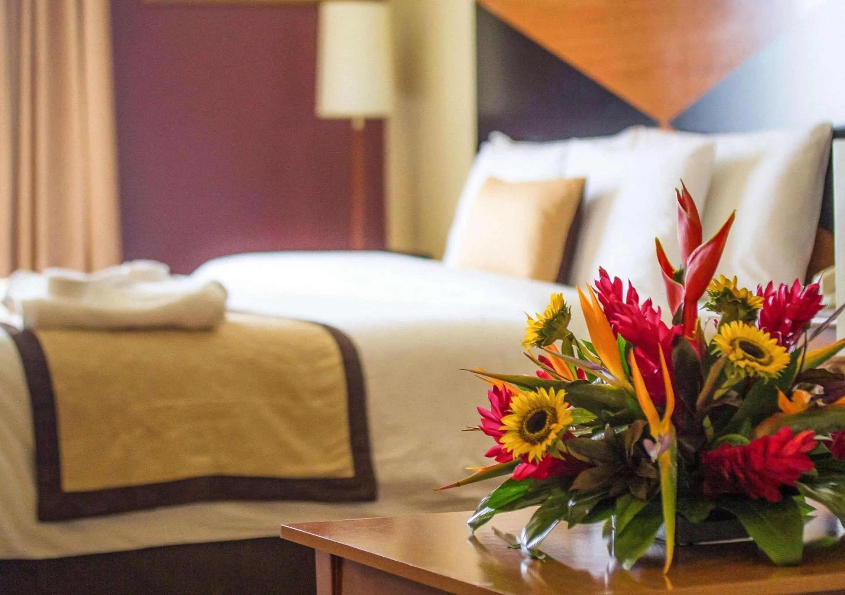 Photo of the whole room, Bed in Sleep Inn Paseo Las Damas