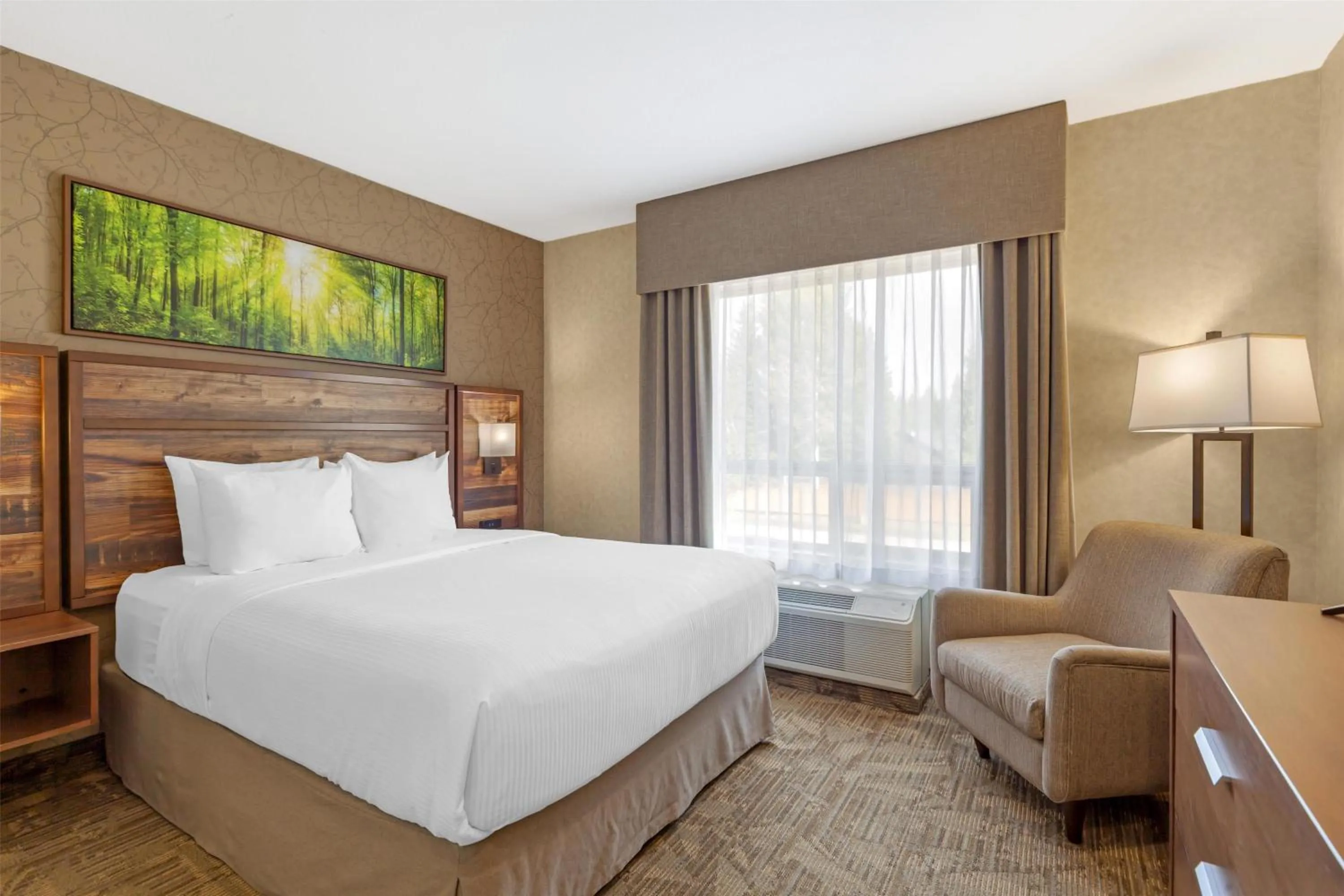 Photo of the whole room, Bed in Best Western Plus Valemount Inn & Suites