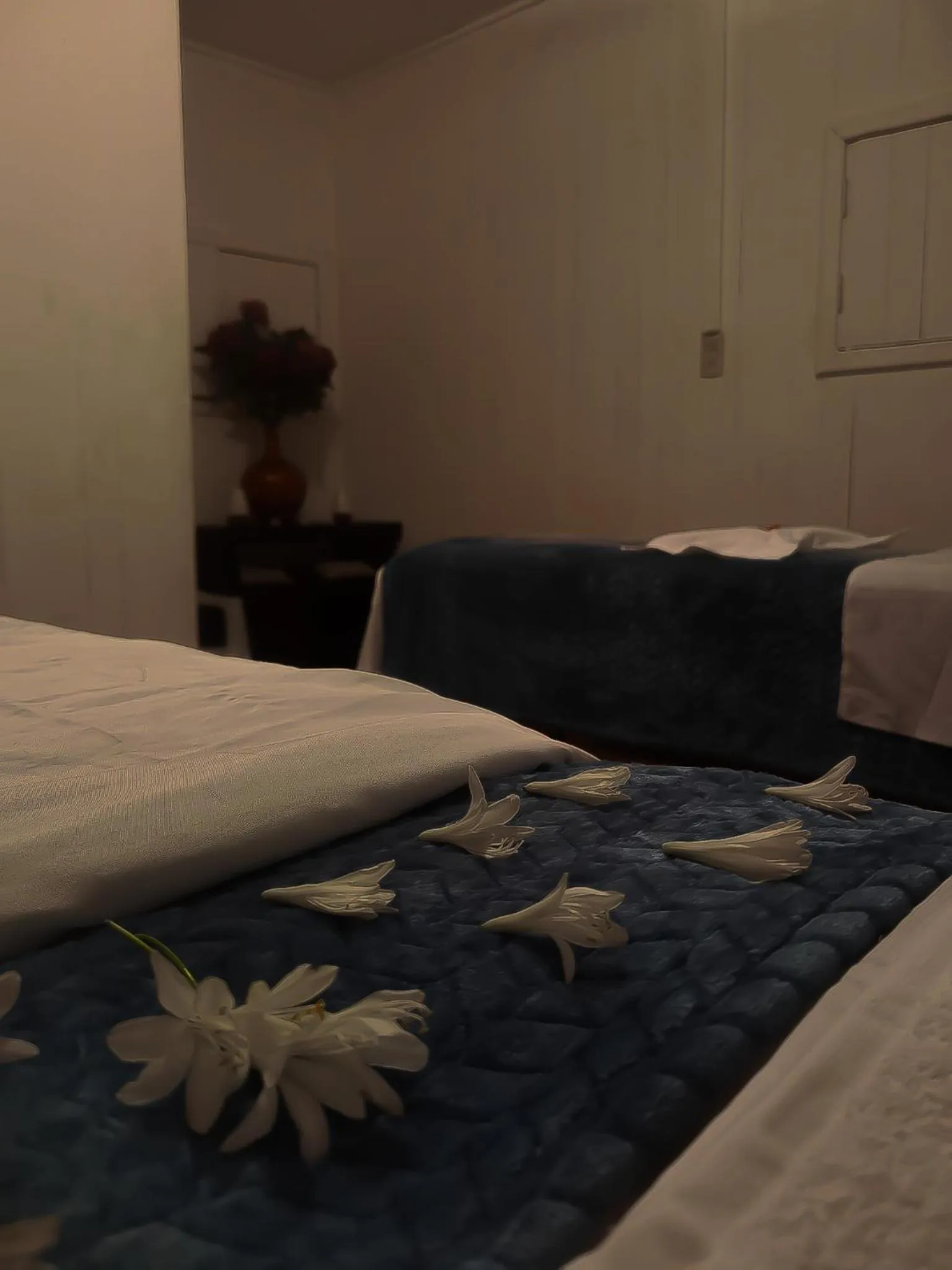 Massage, Bed in Los Azufres Spa Natural