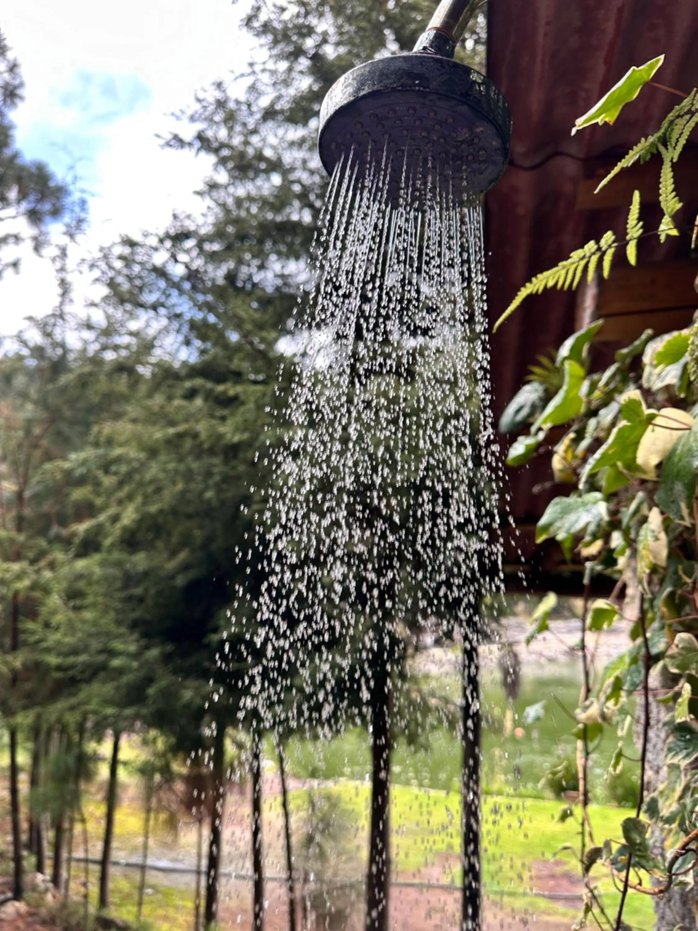 Off site in Los Azufres Spa Natural