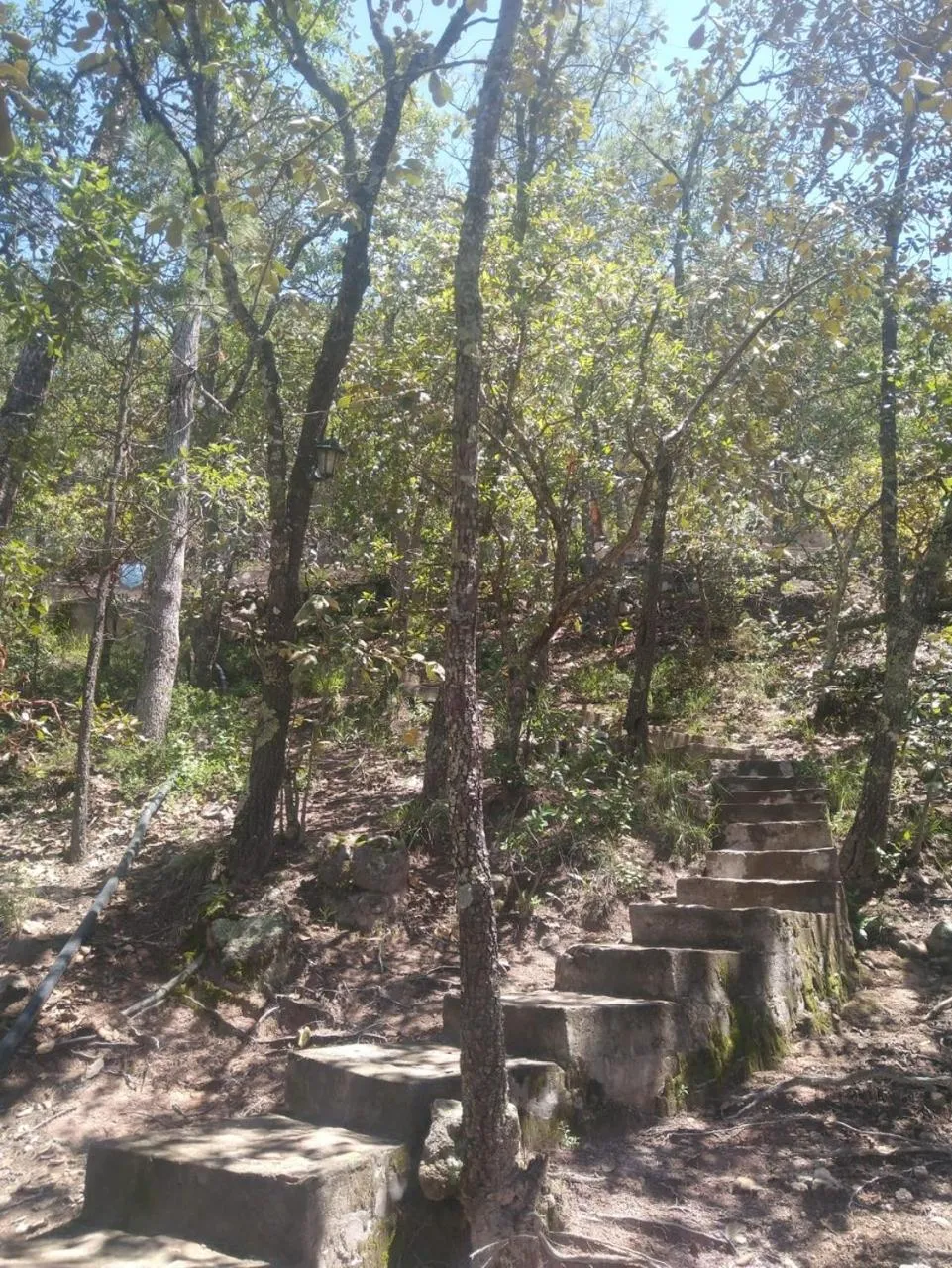 Location in Hotel Mansion Tarahumara