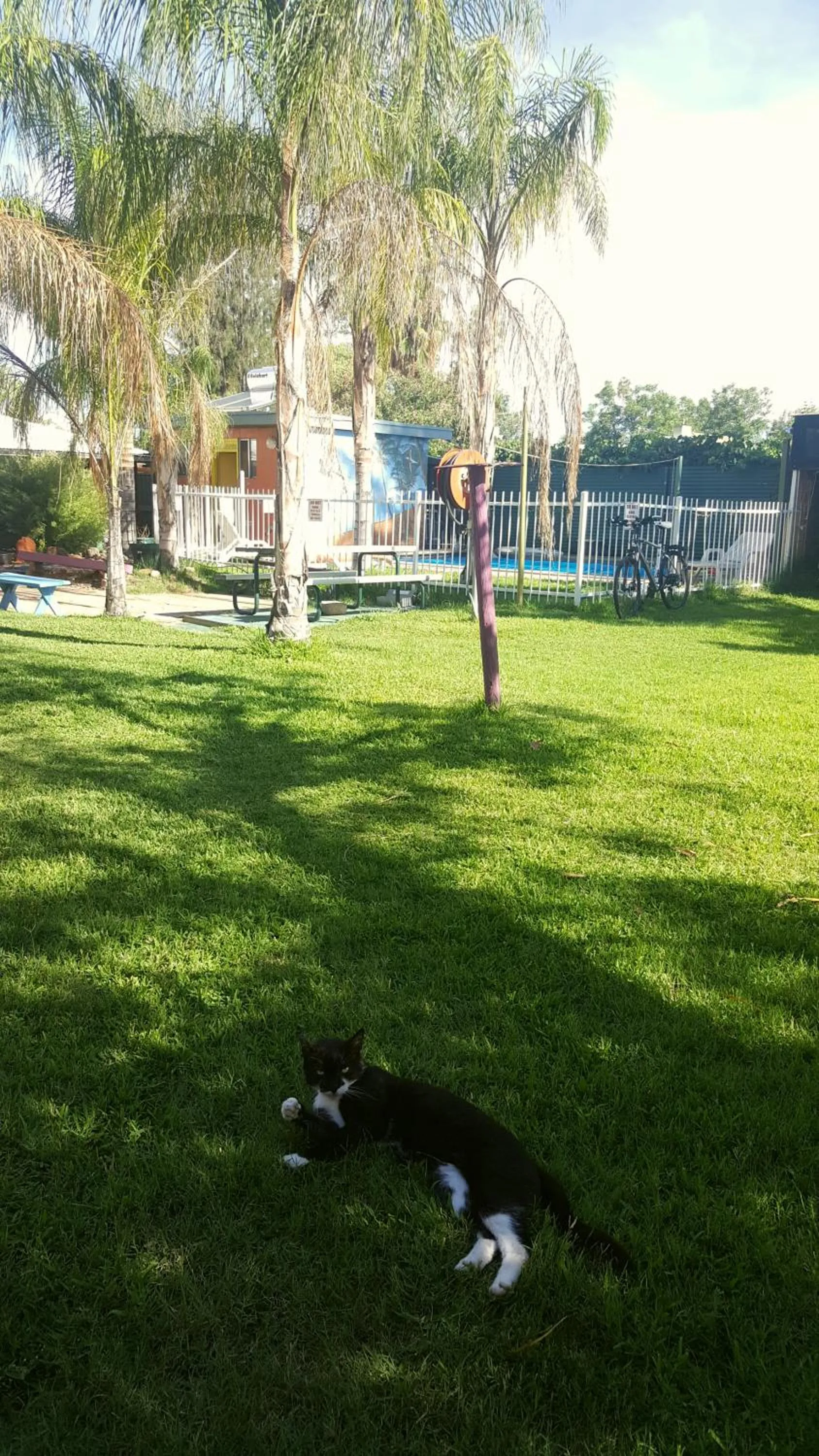 Garden in Alice Lodge