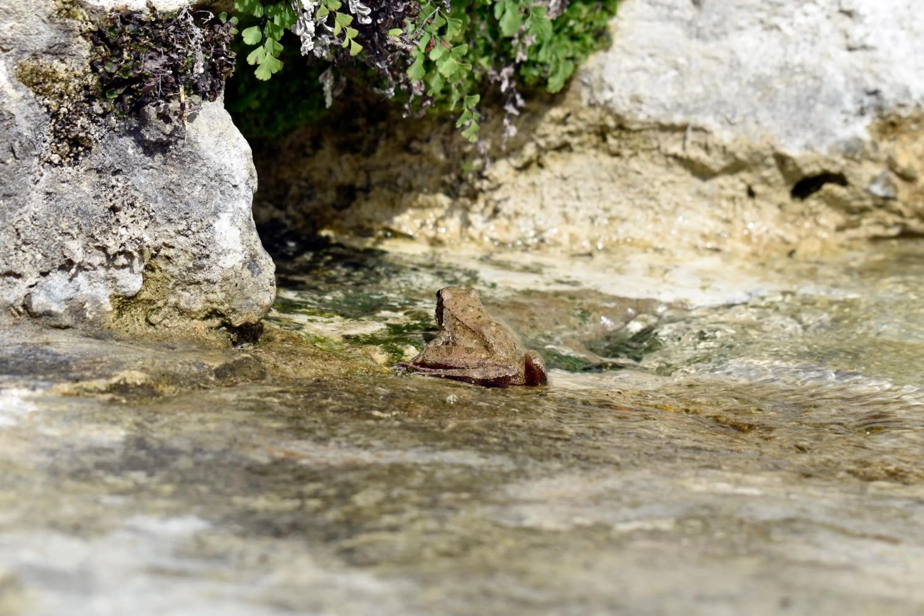 FattoriaTenuta Santa Caterina