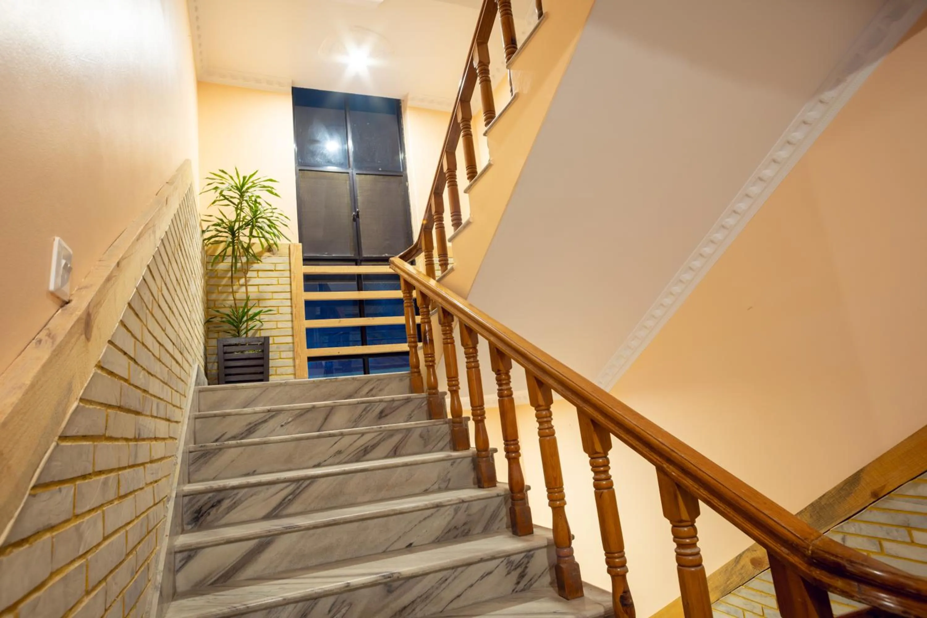 Area and facilities in Trekkers Inn Boutique Hotel Pokhara