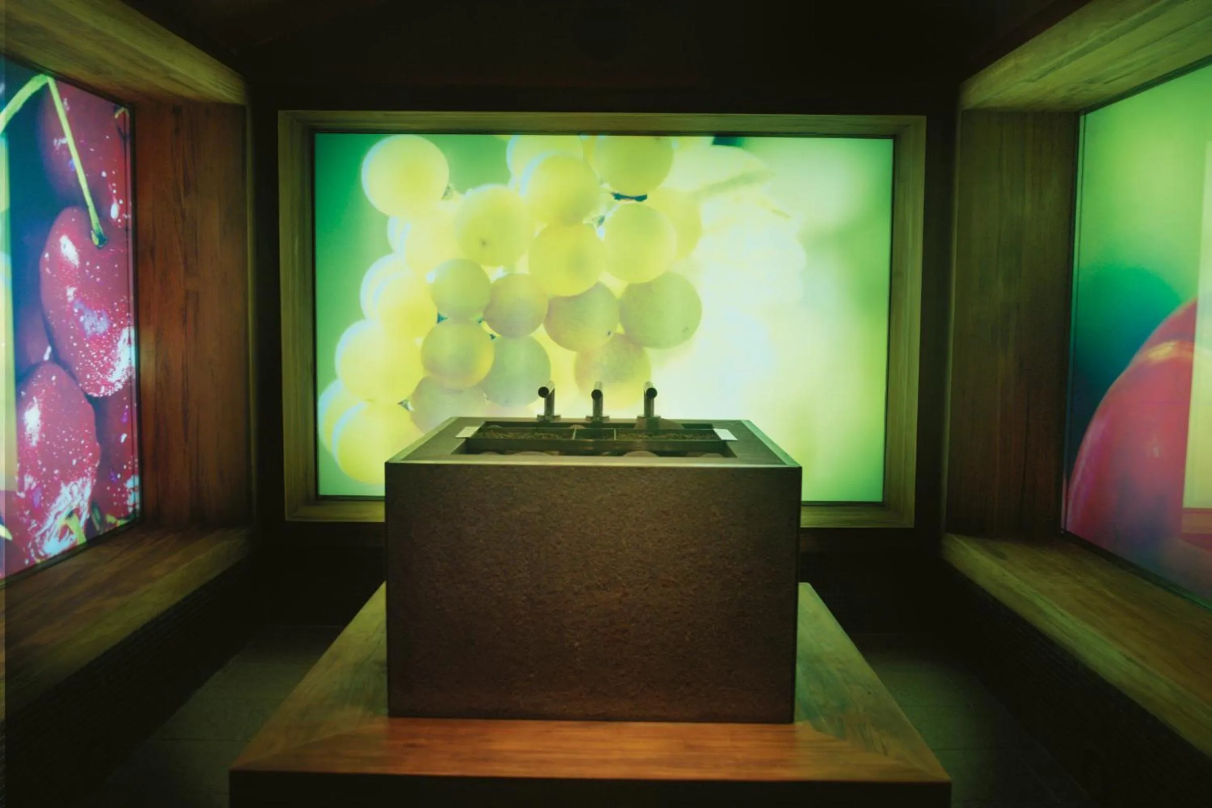 Spa and wellness centre/facilities in Hotel Vitarium Superior - Terme Krka