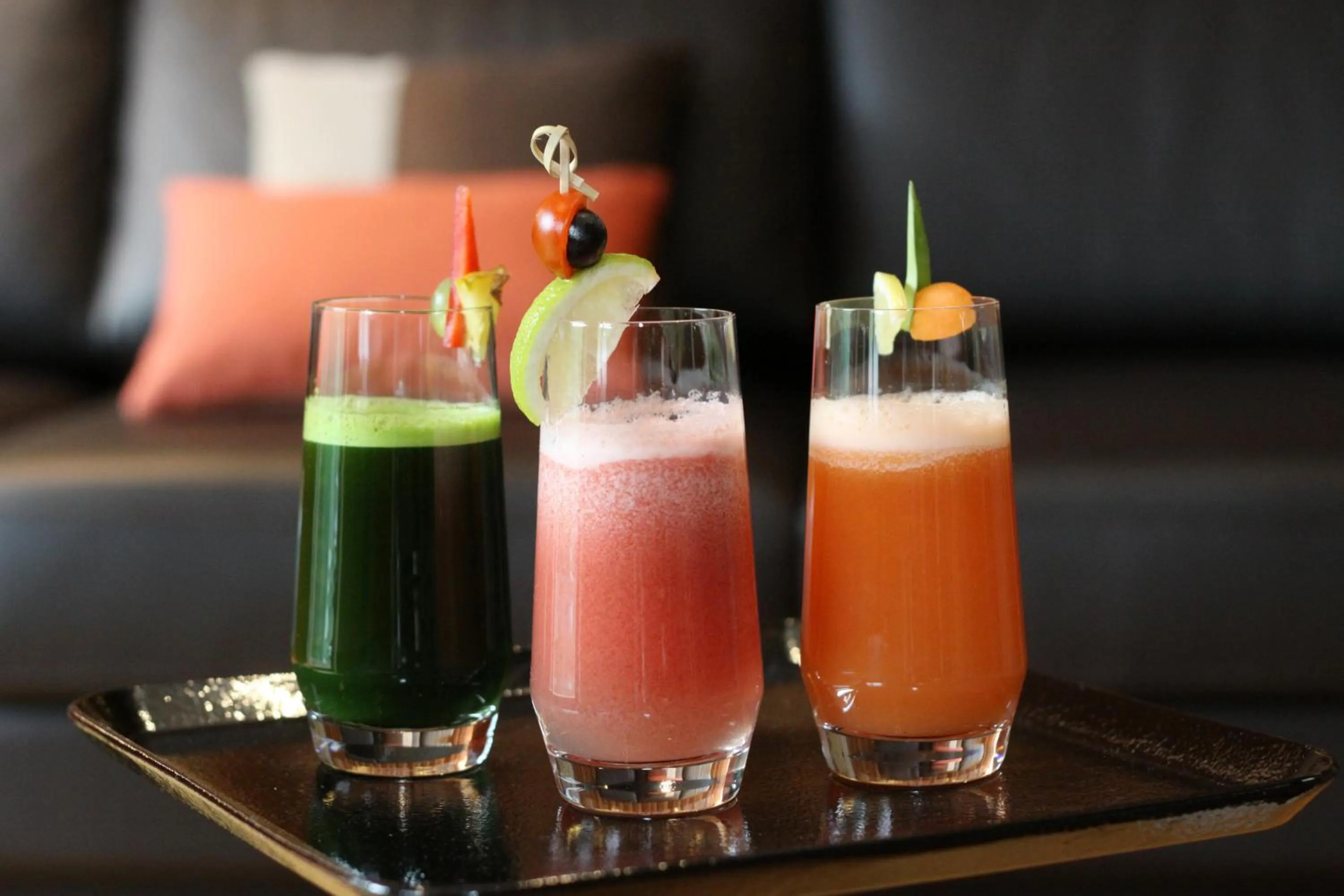 Drinks in Hotel Vitarium Superior - Terme Krka