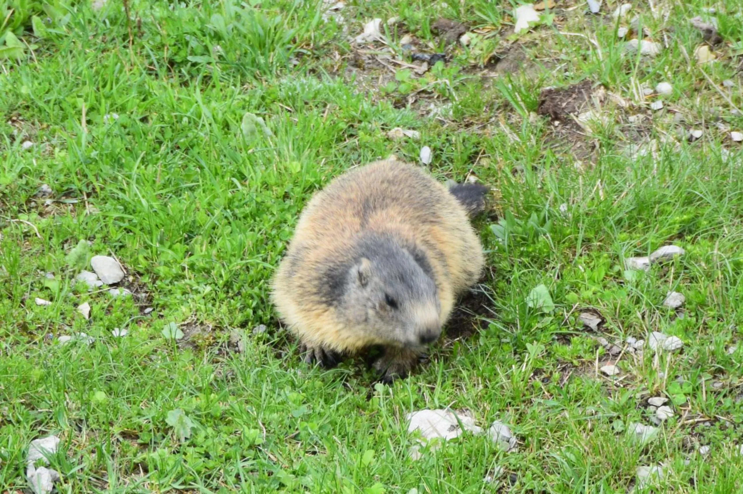 Other in Hotel Villa Emilia