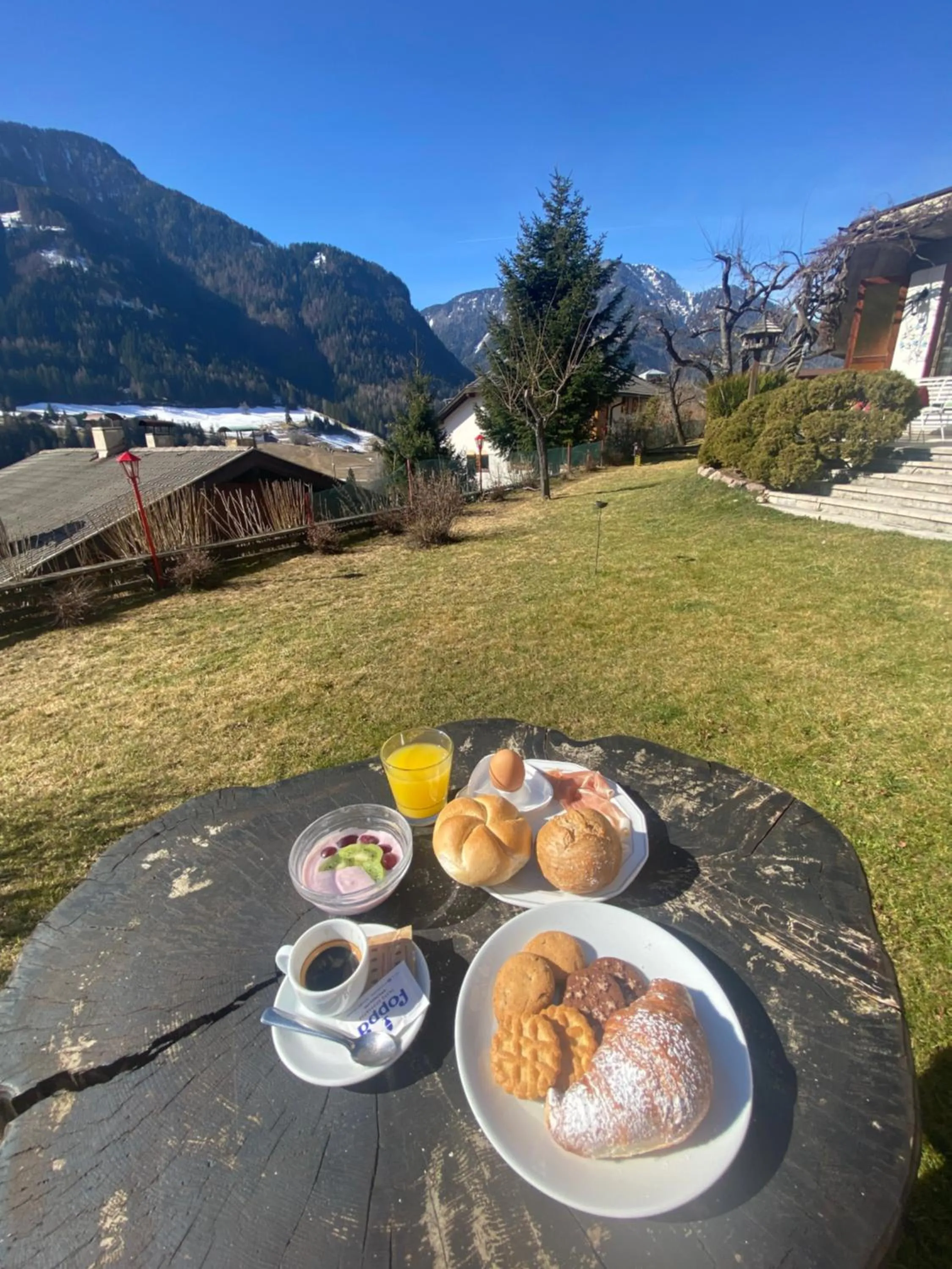 Garden in Hotel Villa Emilia