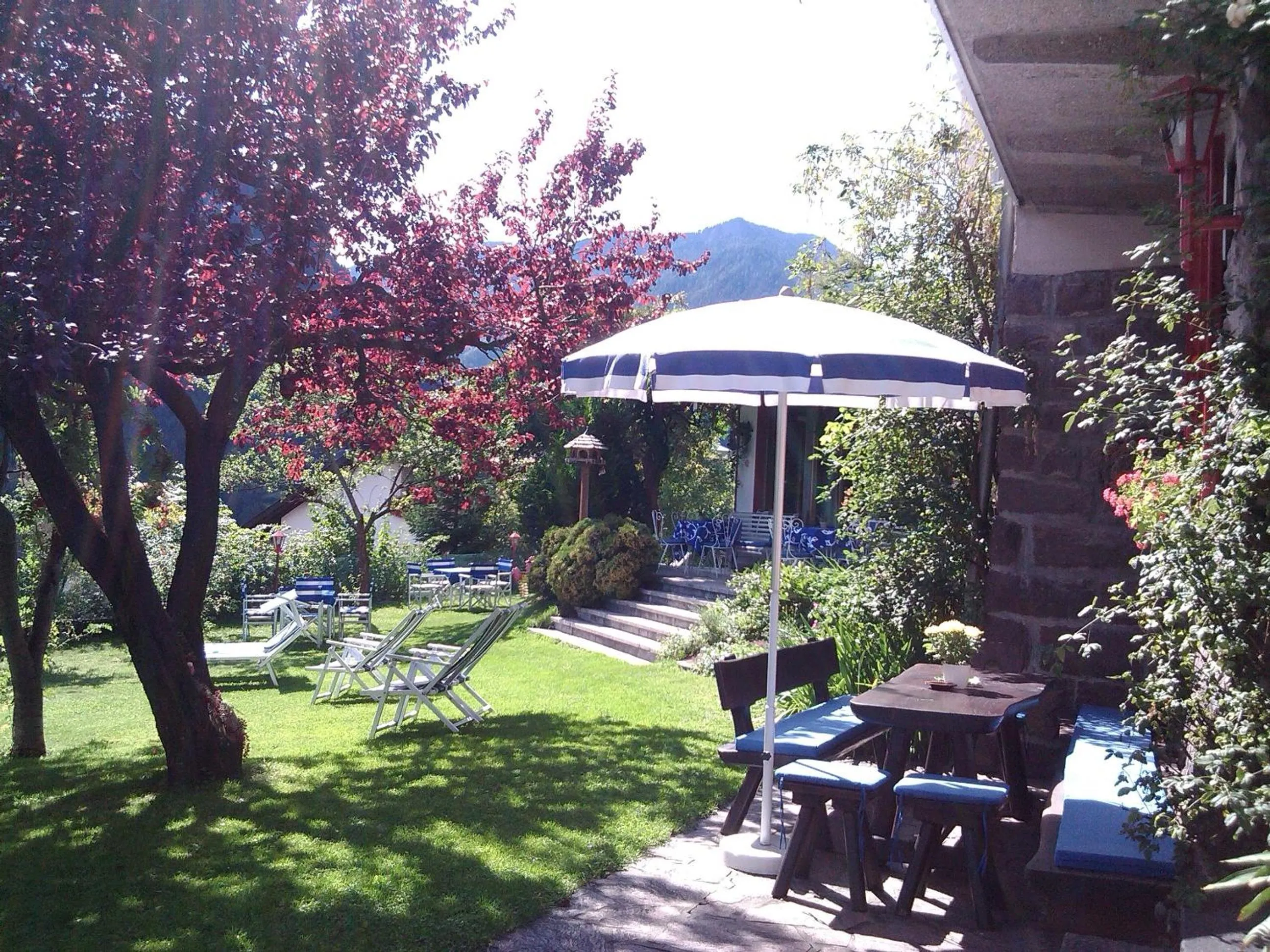 Garden in Hotel Villa Emilia