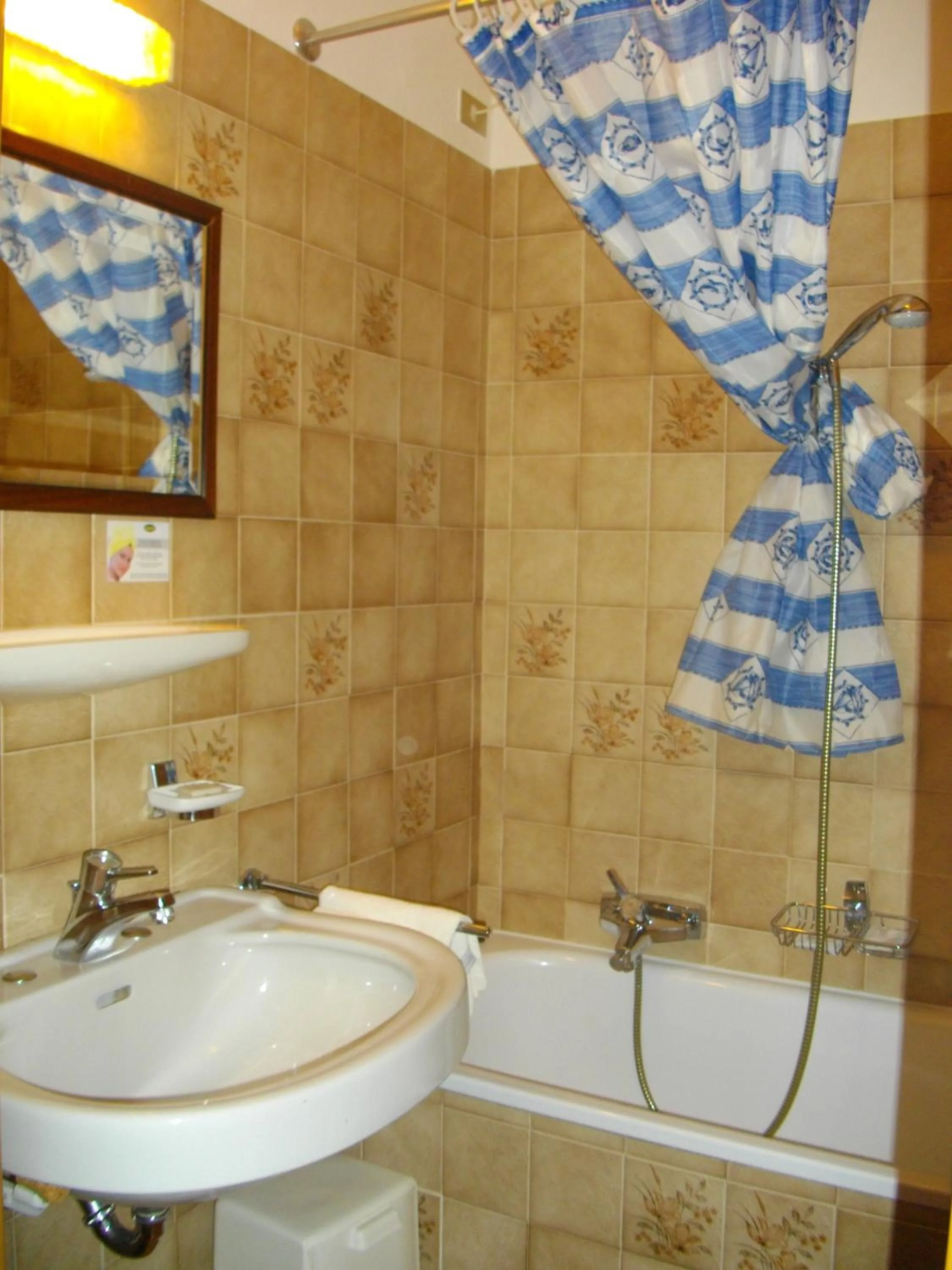 Shower in Hotel Villa Emilia