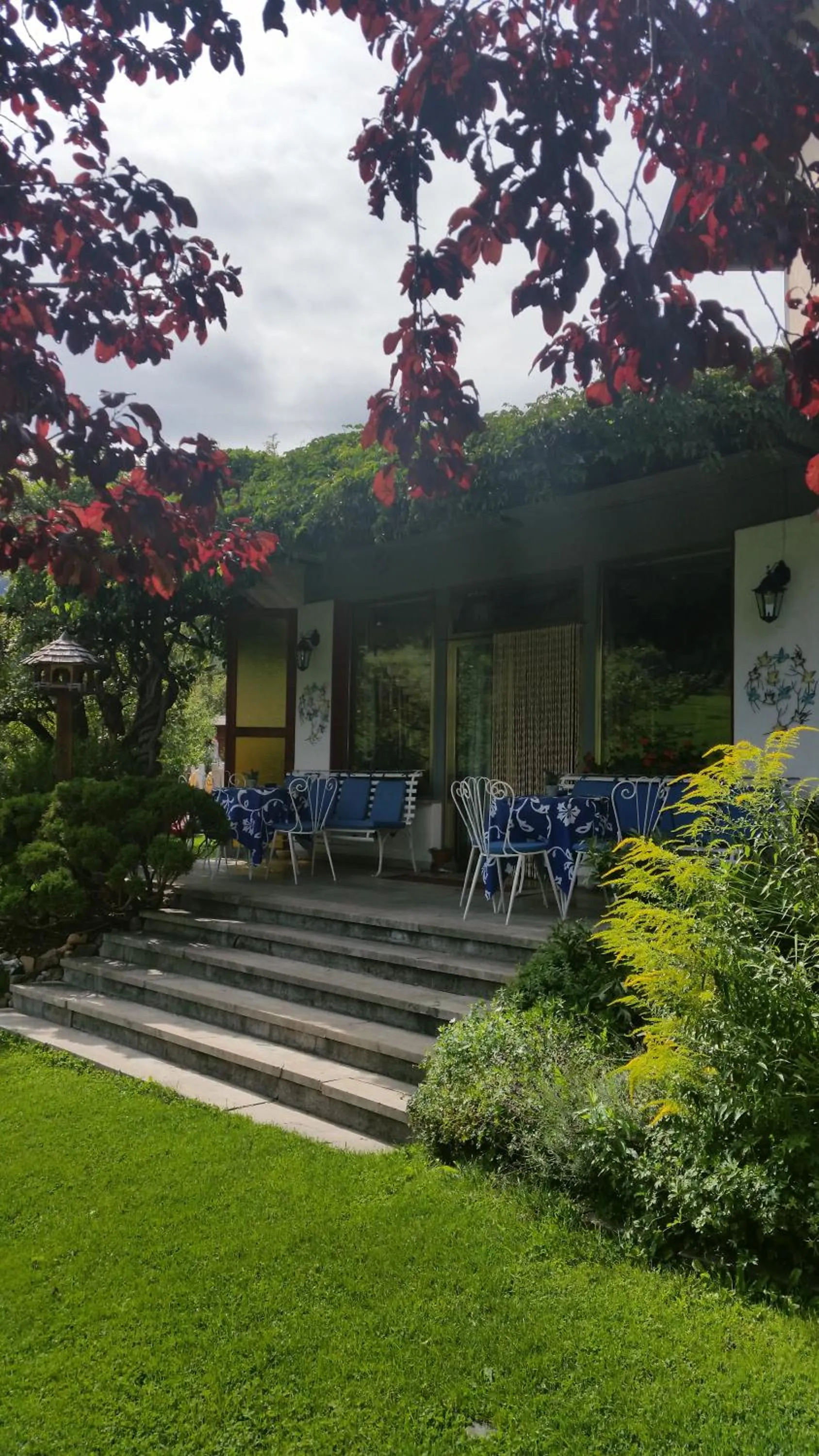 Garden in Hotel Villa Emilia