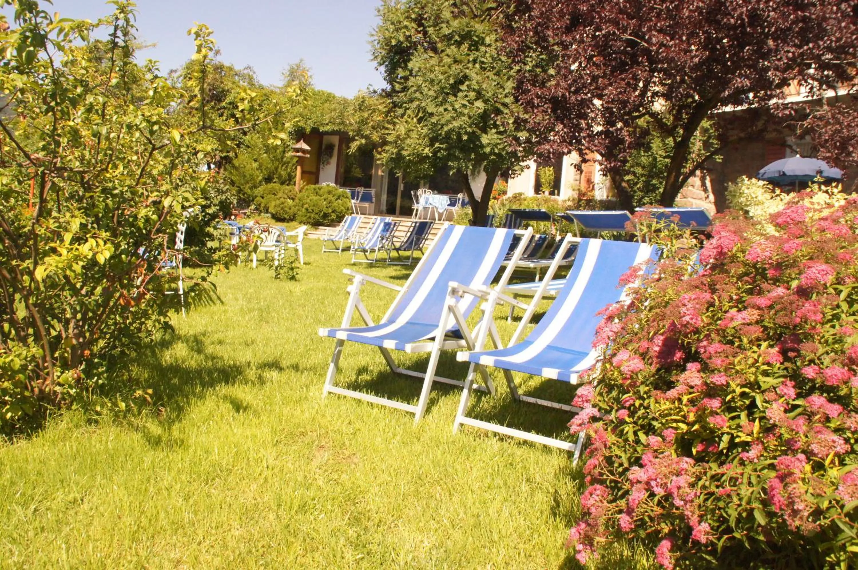Garden in Hotel Villa Emilia