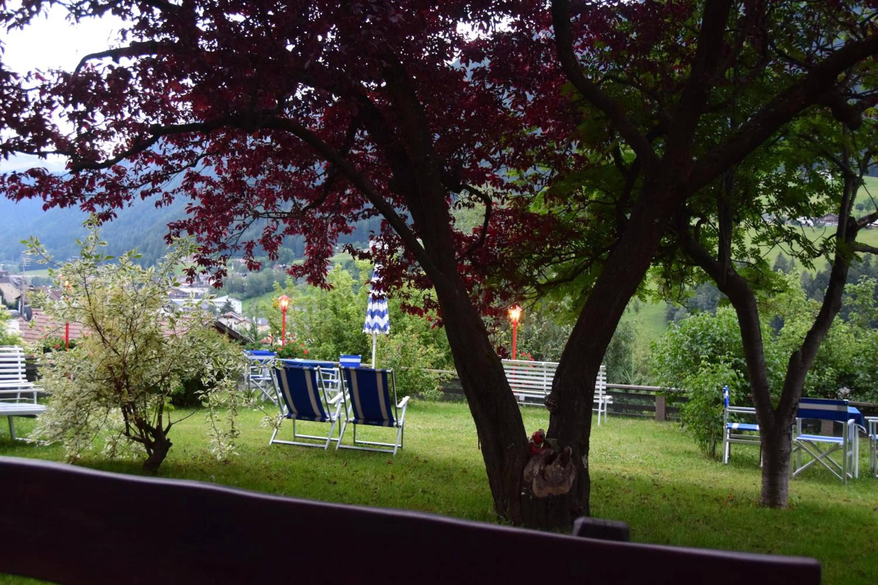 Garden in Hotel Villa Emilia