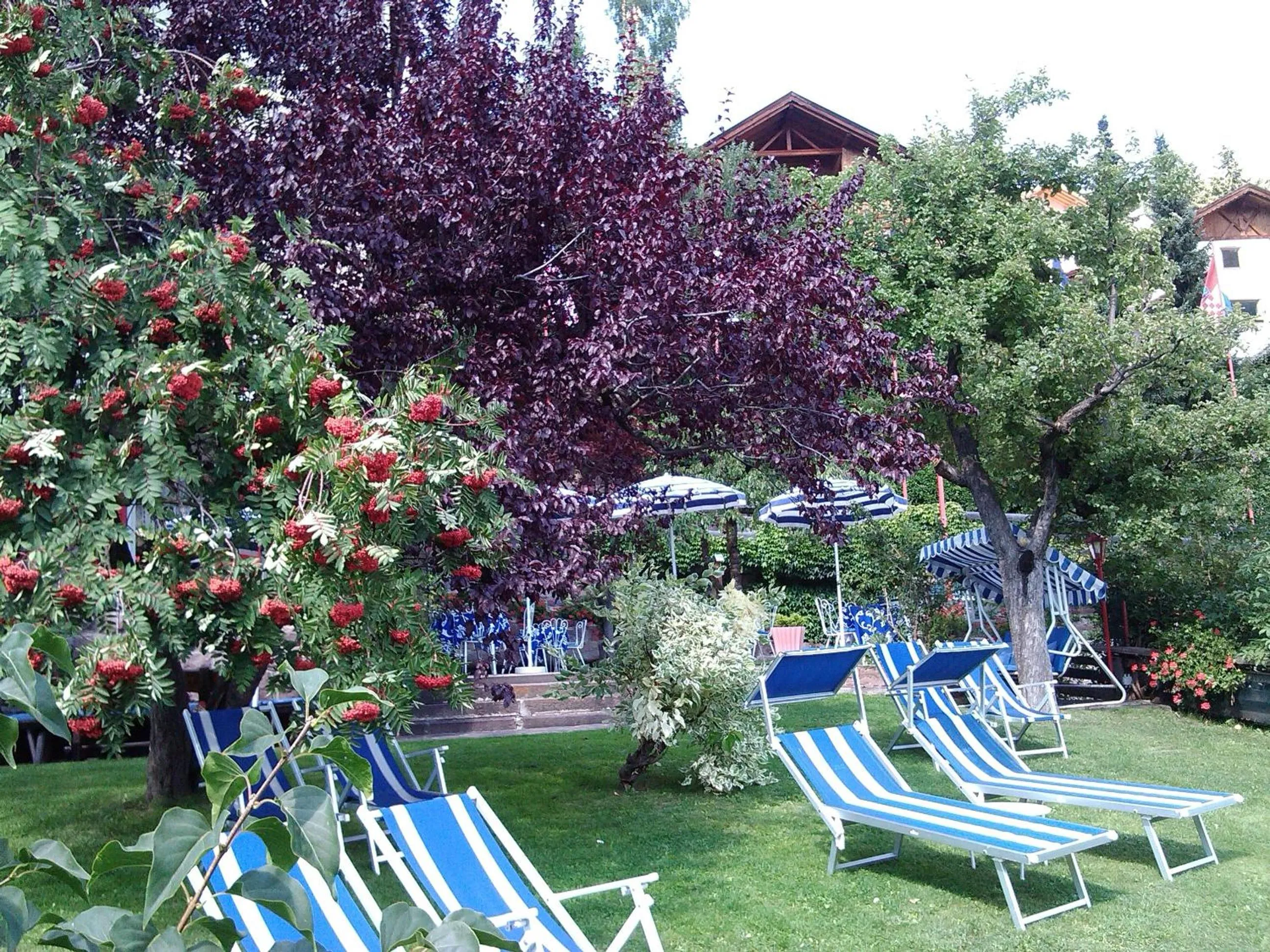 Garden in Hotel Villa Emilia