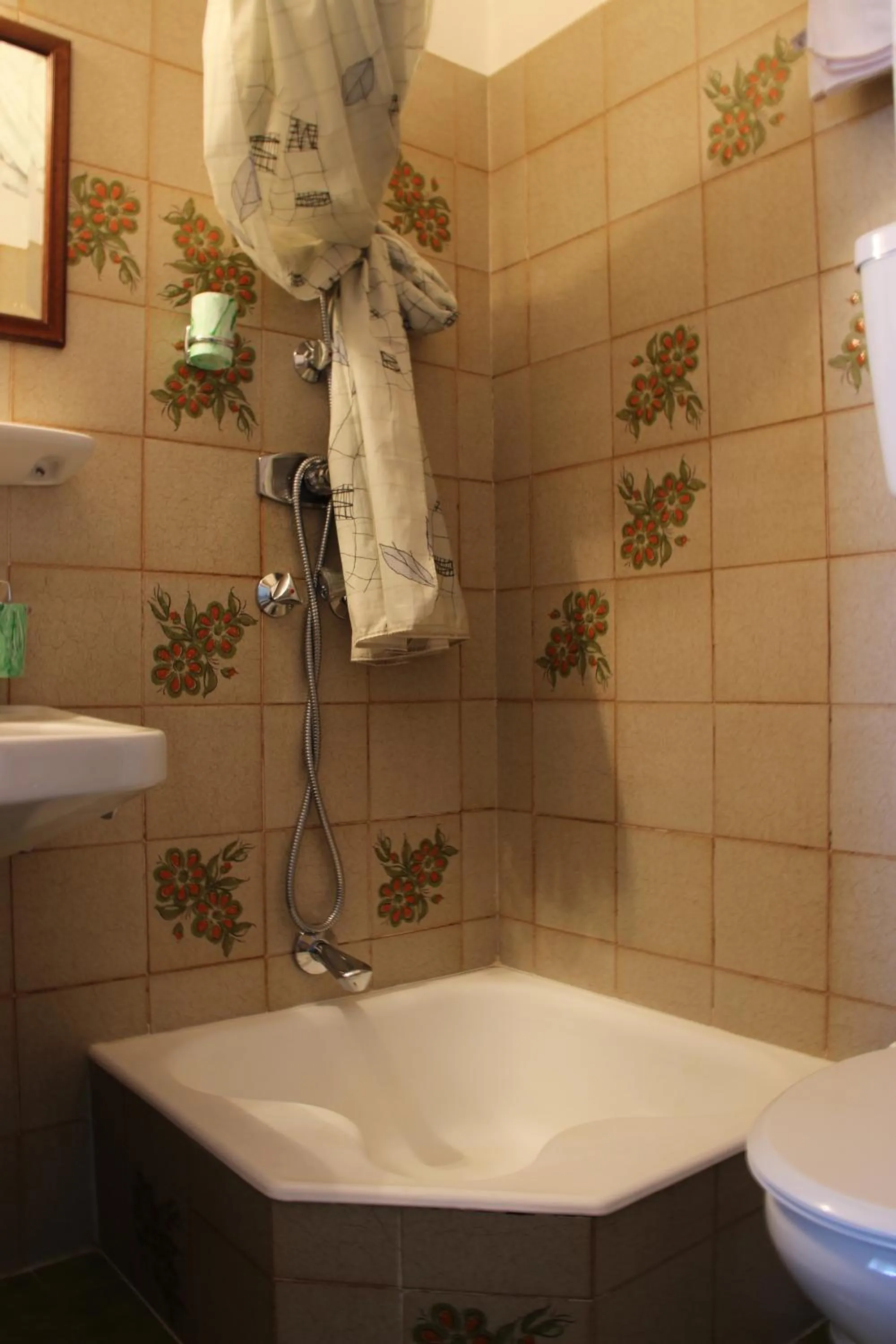 Shower in Hotel Villa Emilia