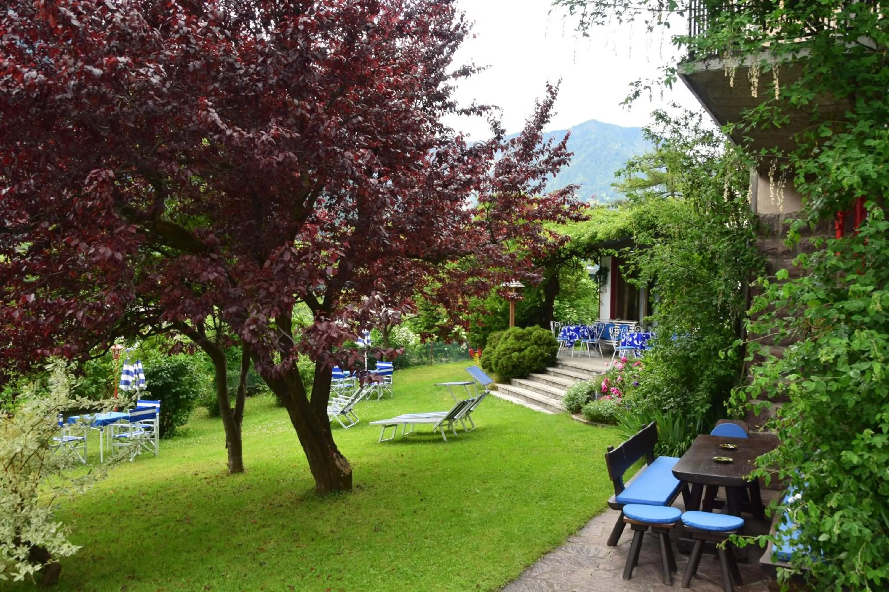 Facade/entrance in Hotel Villa Emilia