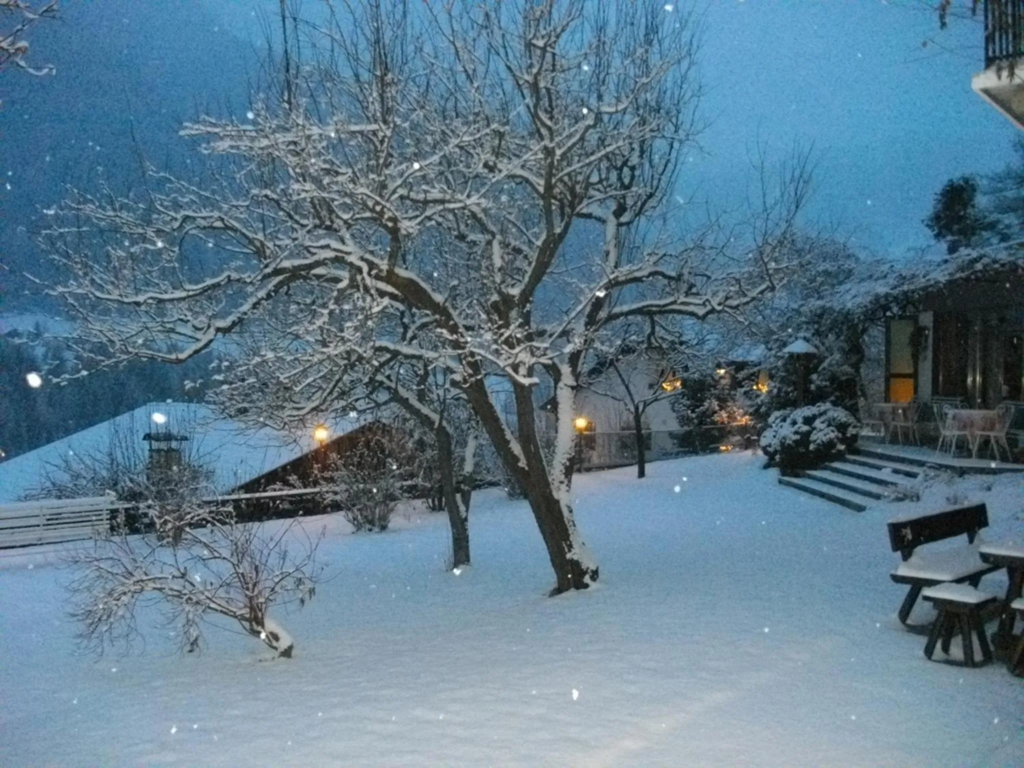 Garden in Hotel Villa Emilia