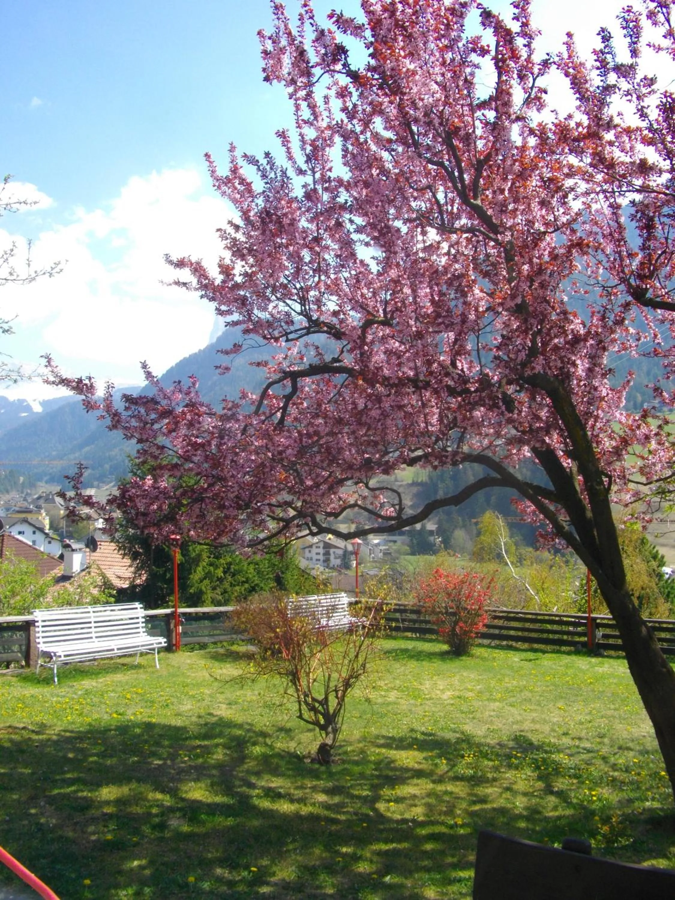 Garden in Hotel Villa Emilia