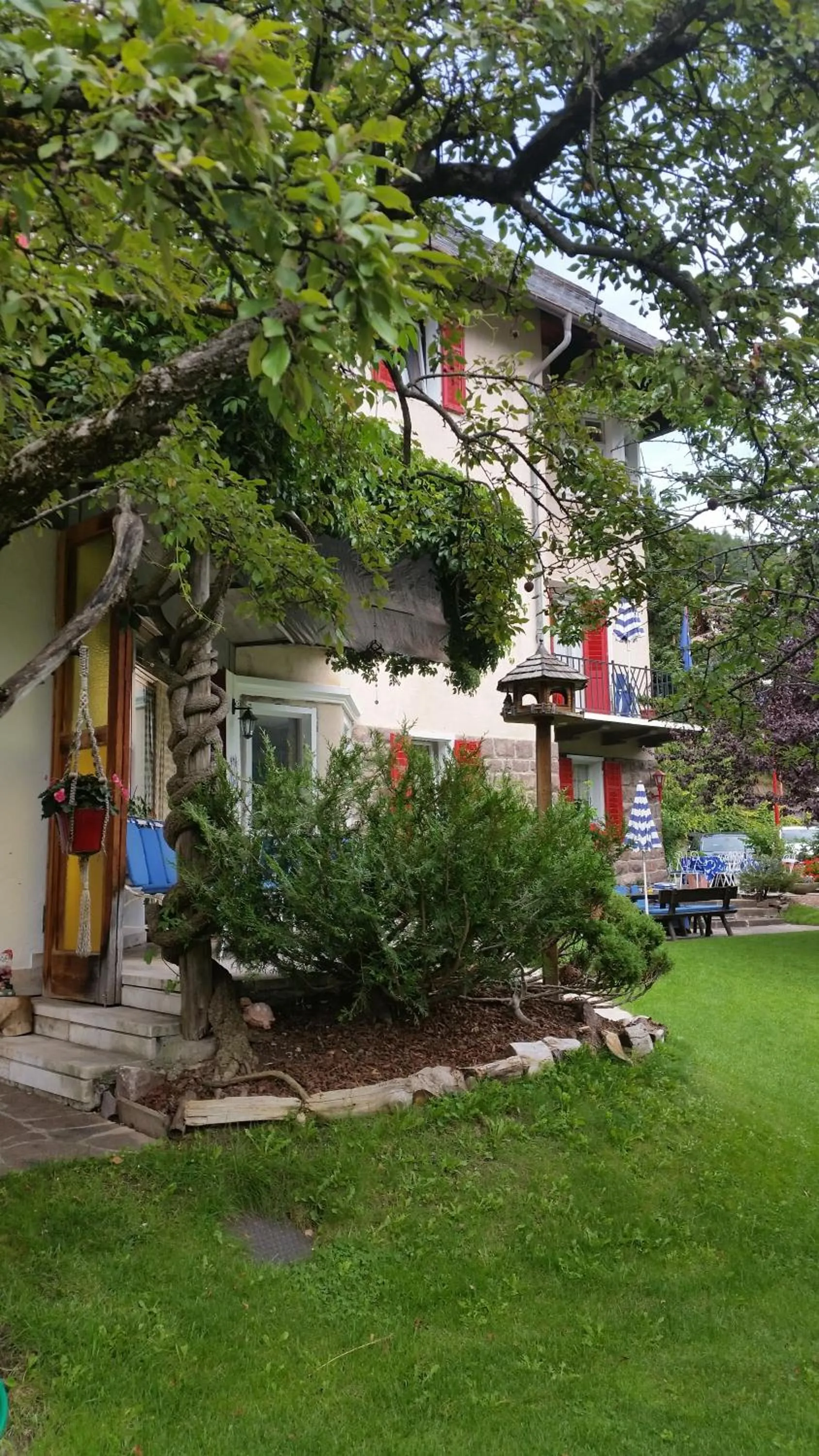 Garden in Hotel Villa Emilia