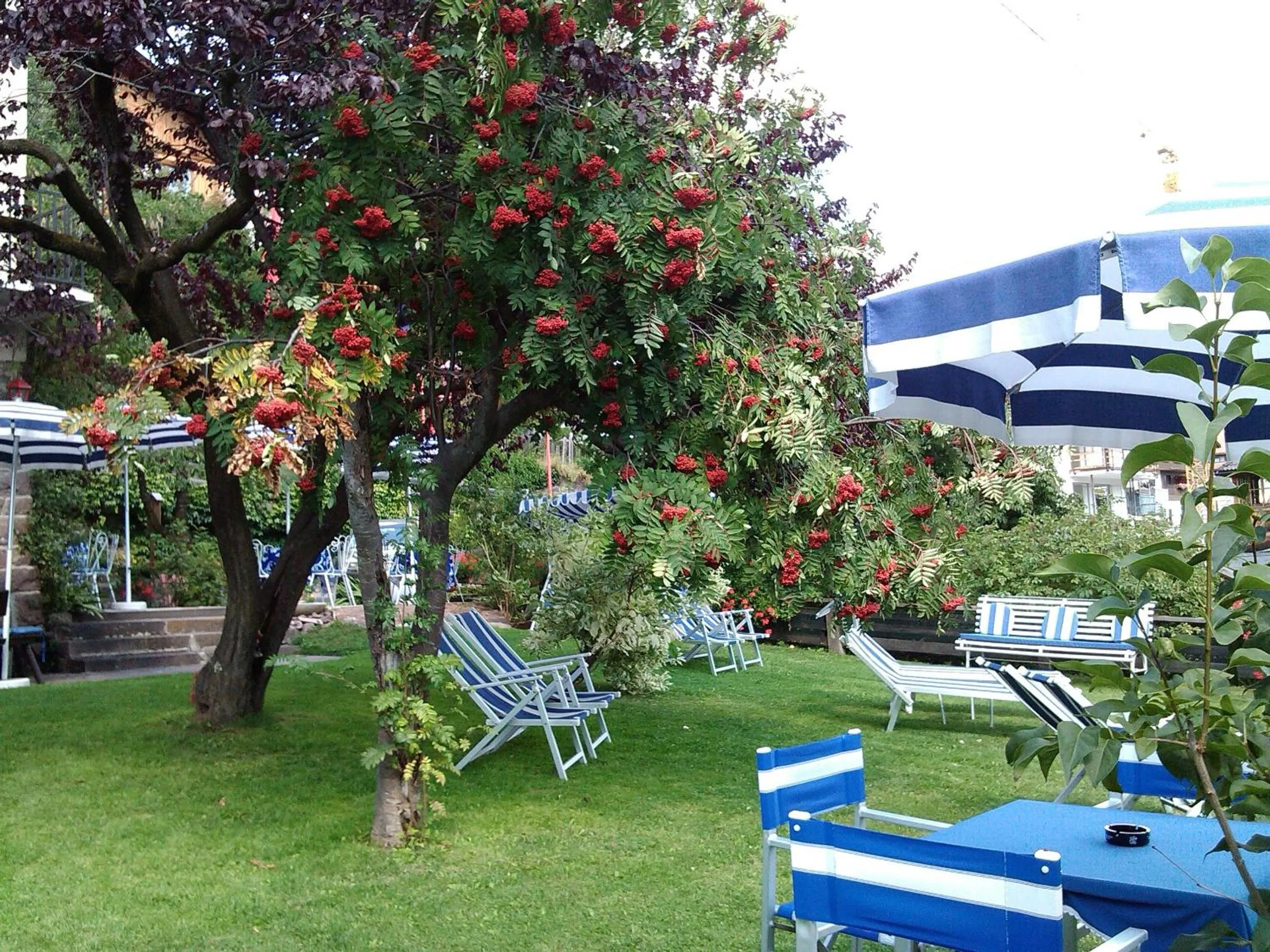 Garden in Hotel Villa Emilia