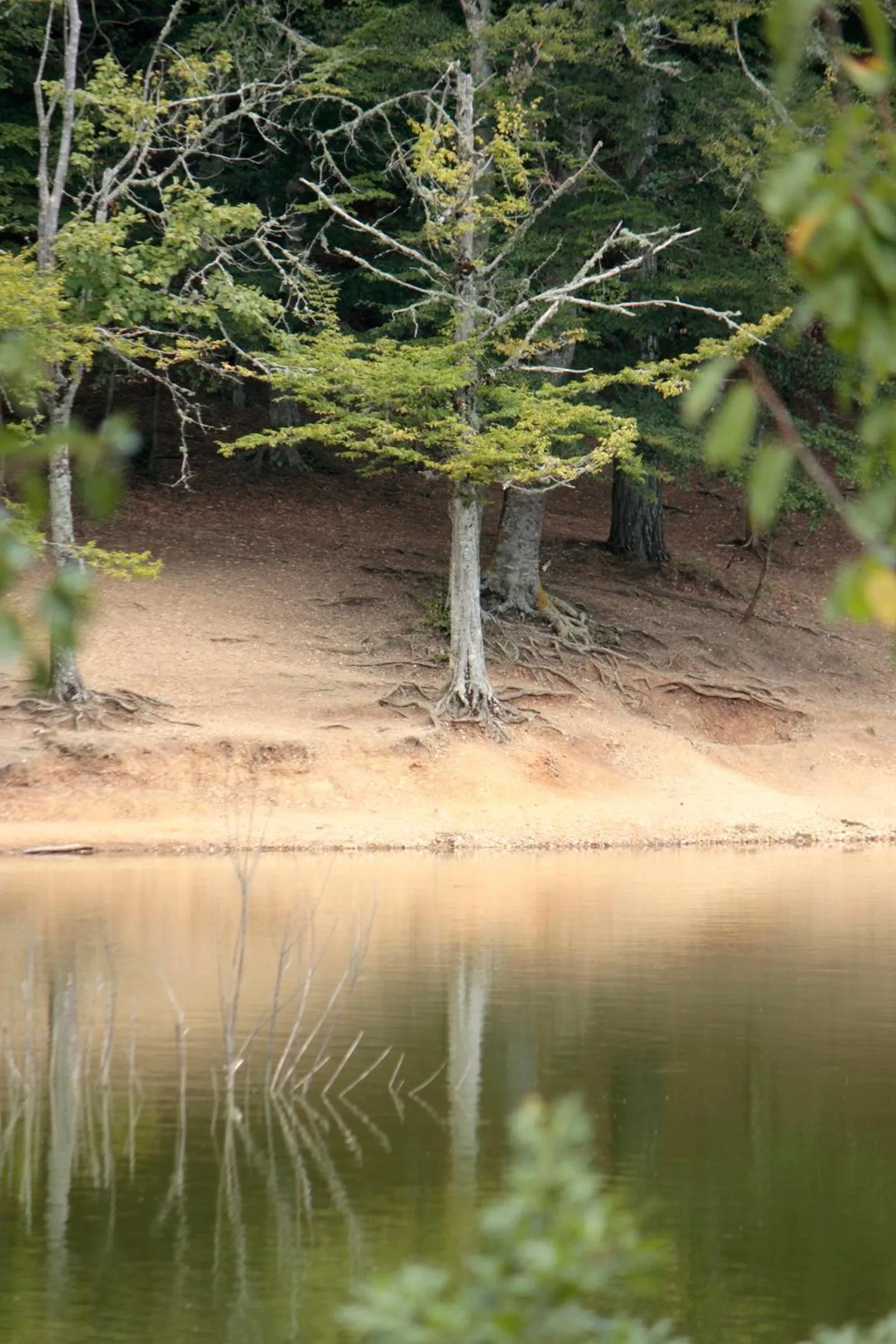 Other in Petra Maris B&B