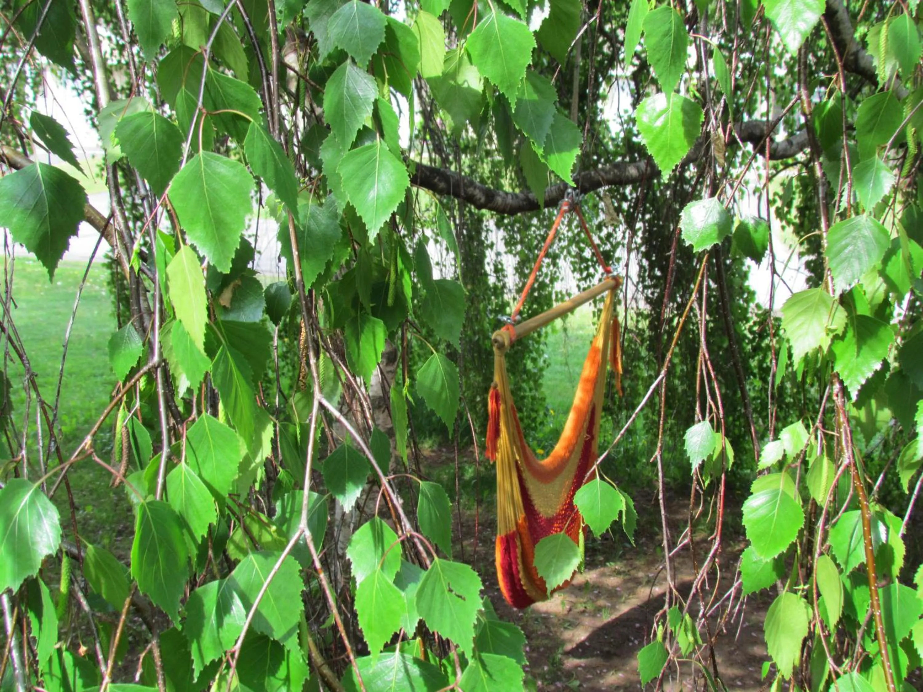 Garden in Gîte B&B - Aubergélit inc
