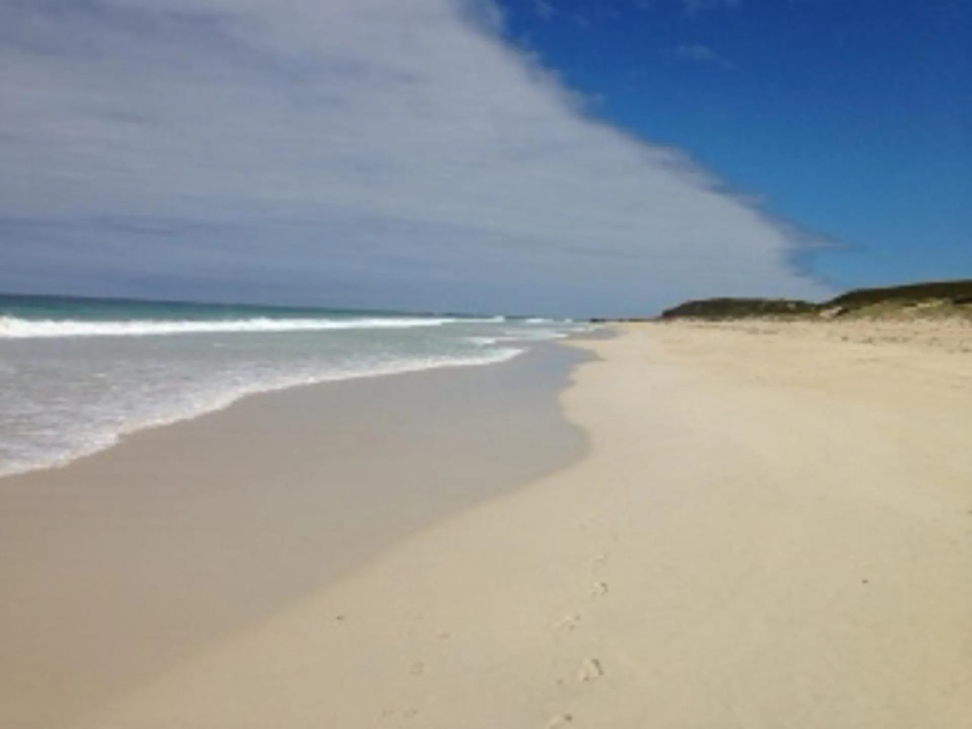 Happy Dogs Cottage Margaret River