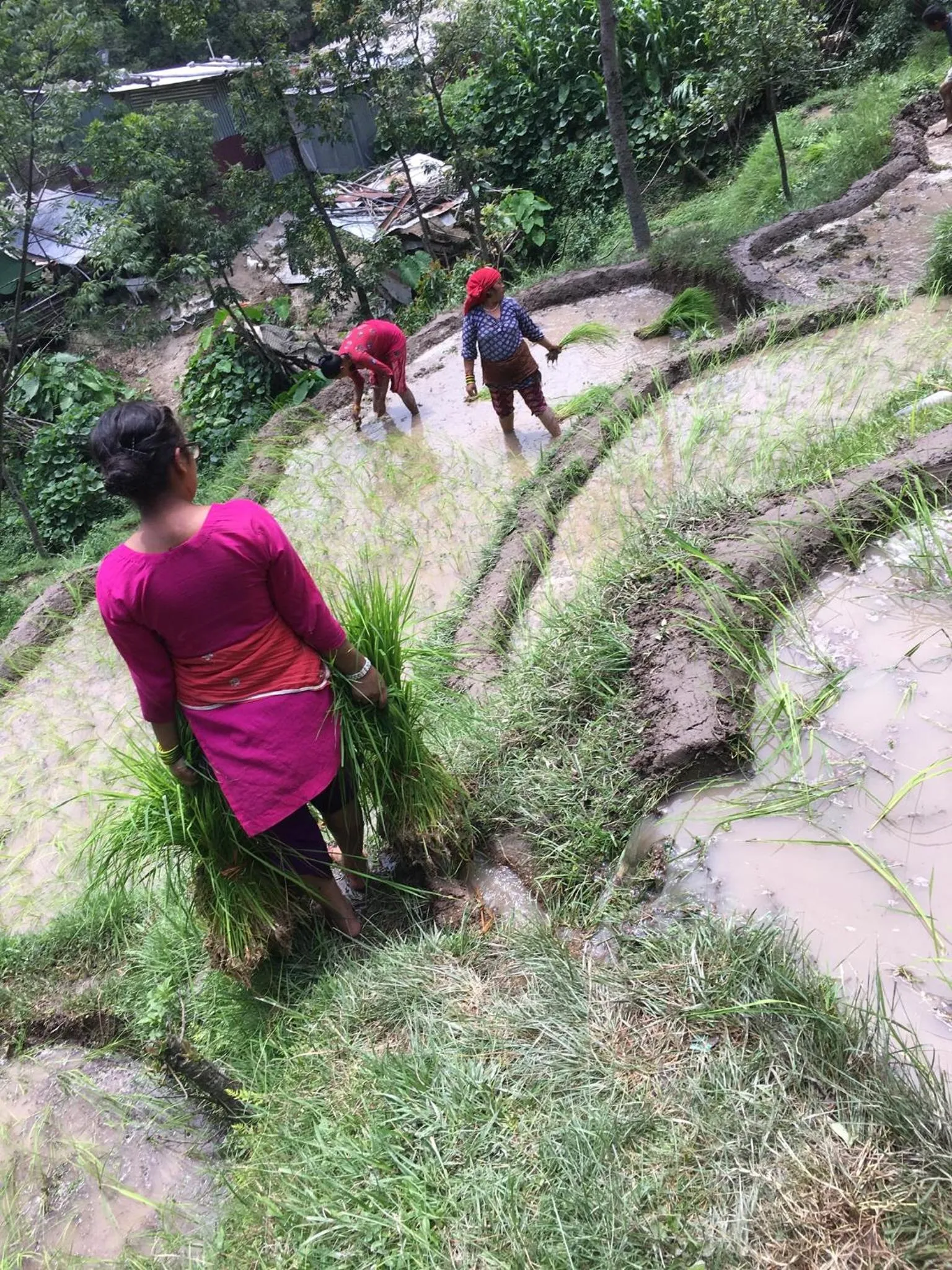 BnB Royal Tourist House