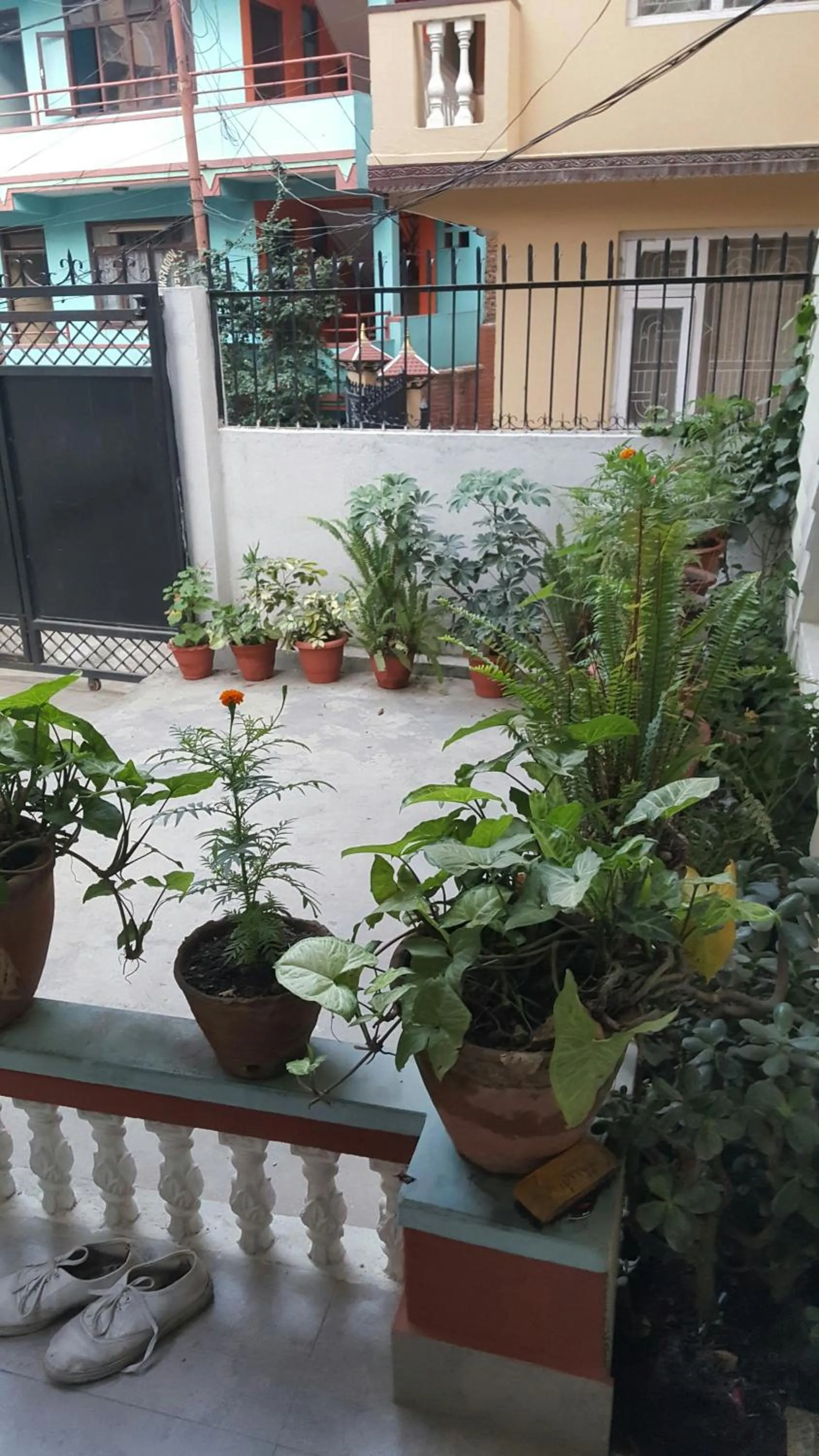 View (from property/room) in BnB Royal Tourist House