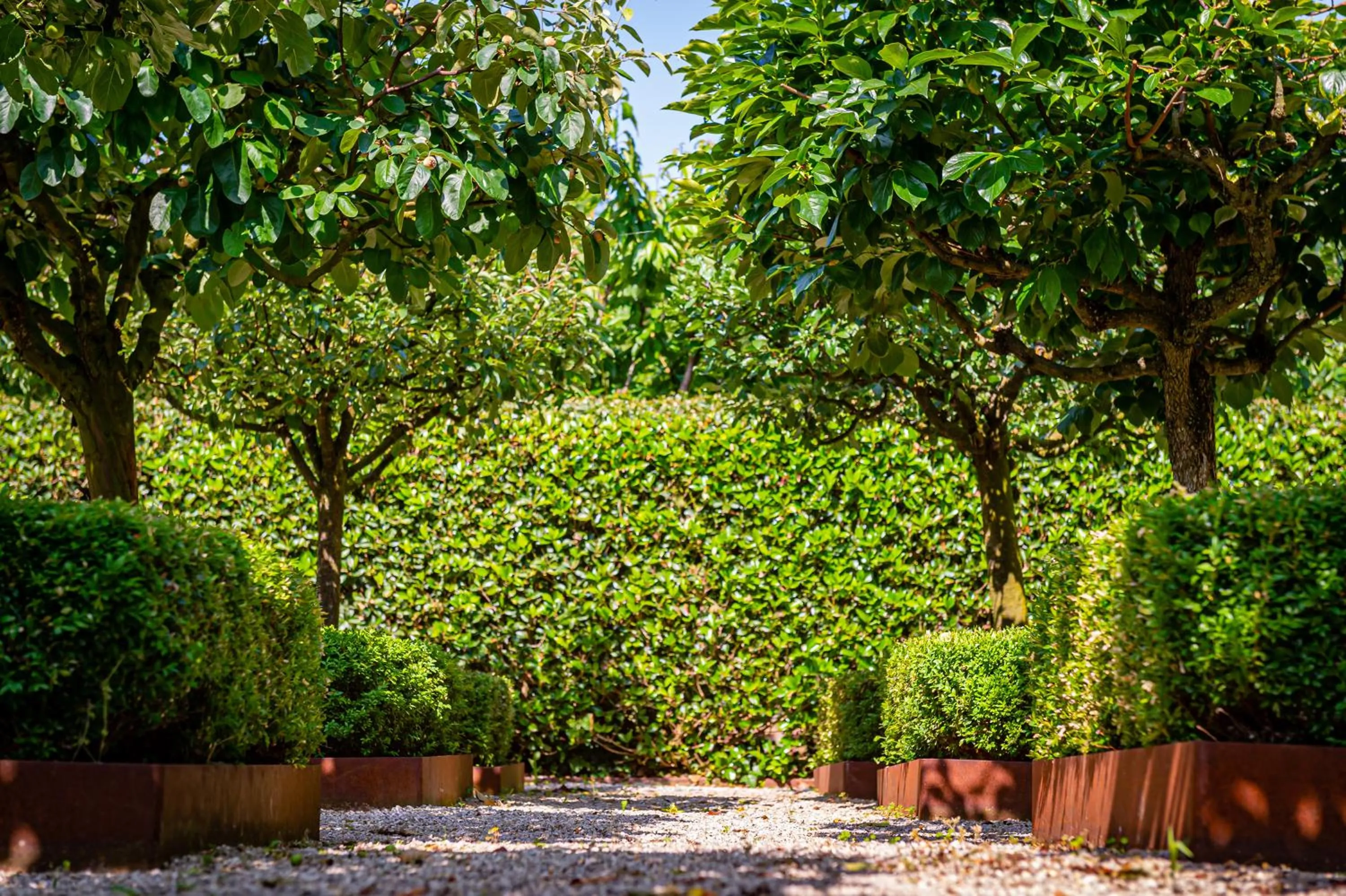 Garden in Fiori e Frutti Hotel Agriresort Venezia Mestre