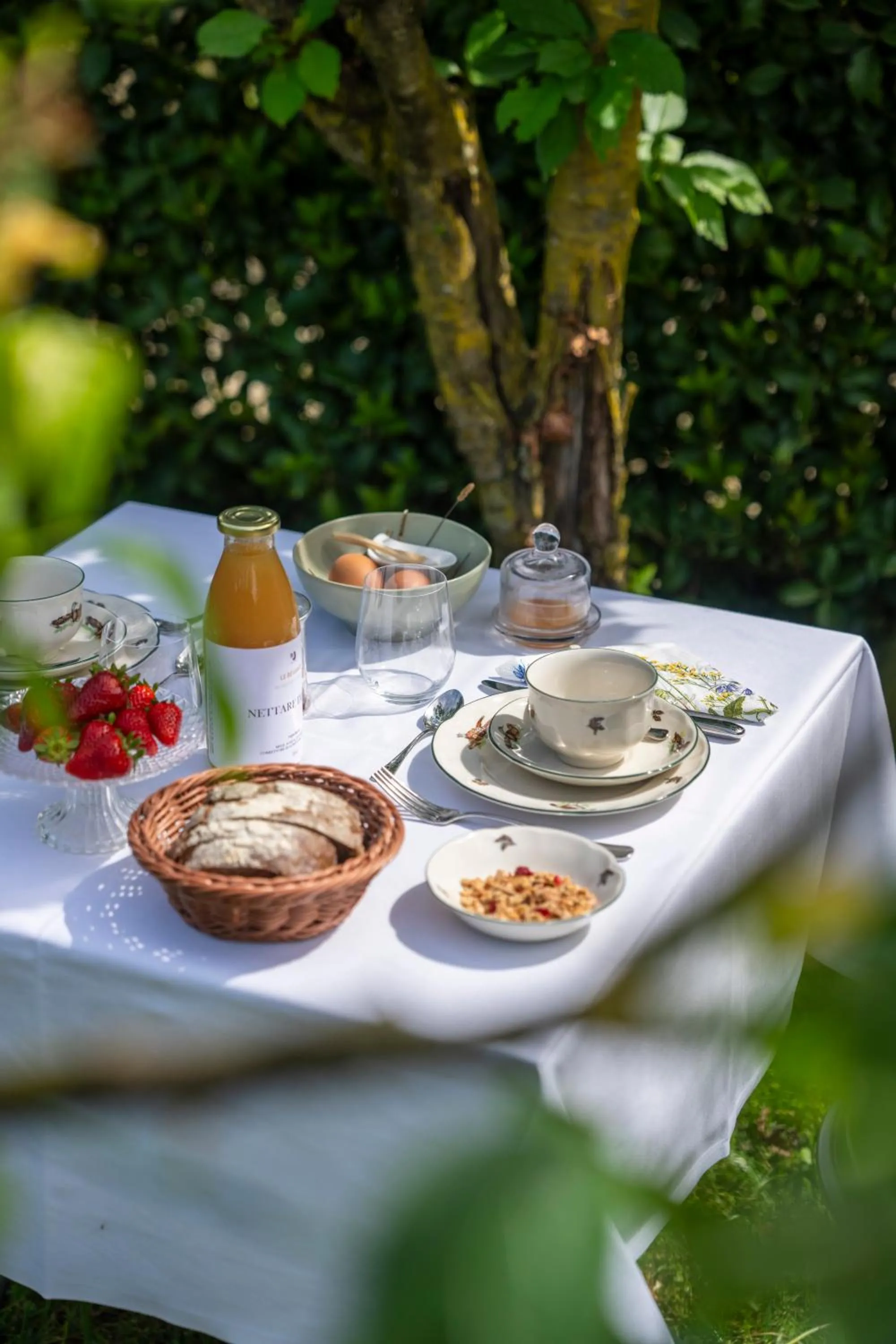 Breakfast in Fiori e Frutti Hotel Agriresort Venezia Mestre