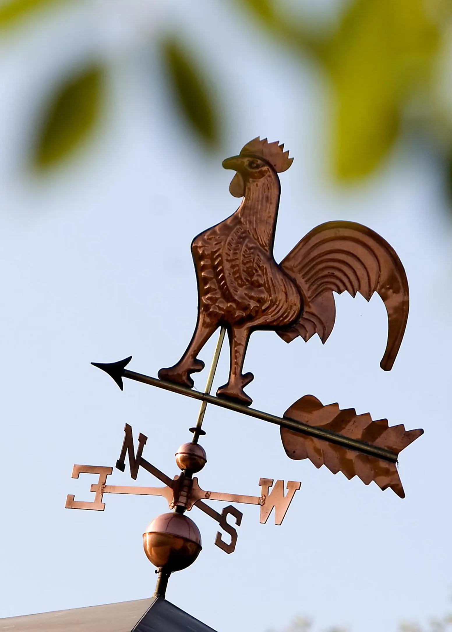 Decorative detail in Fiori e Frutti Hotel Agriresort Venezia Mestre