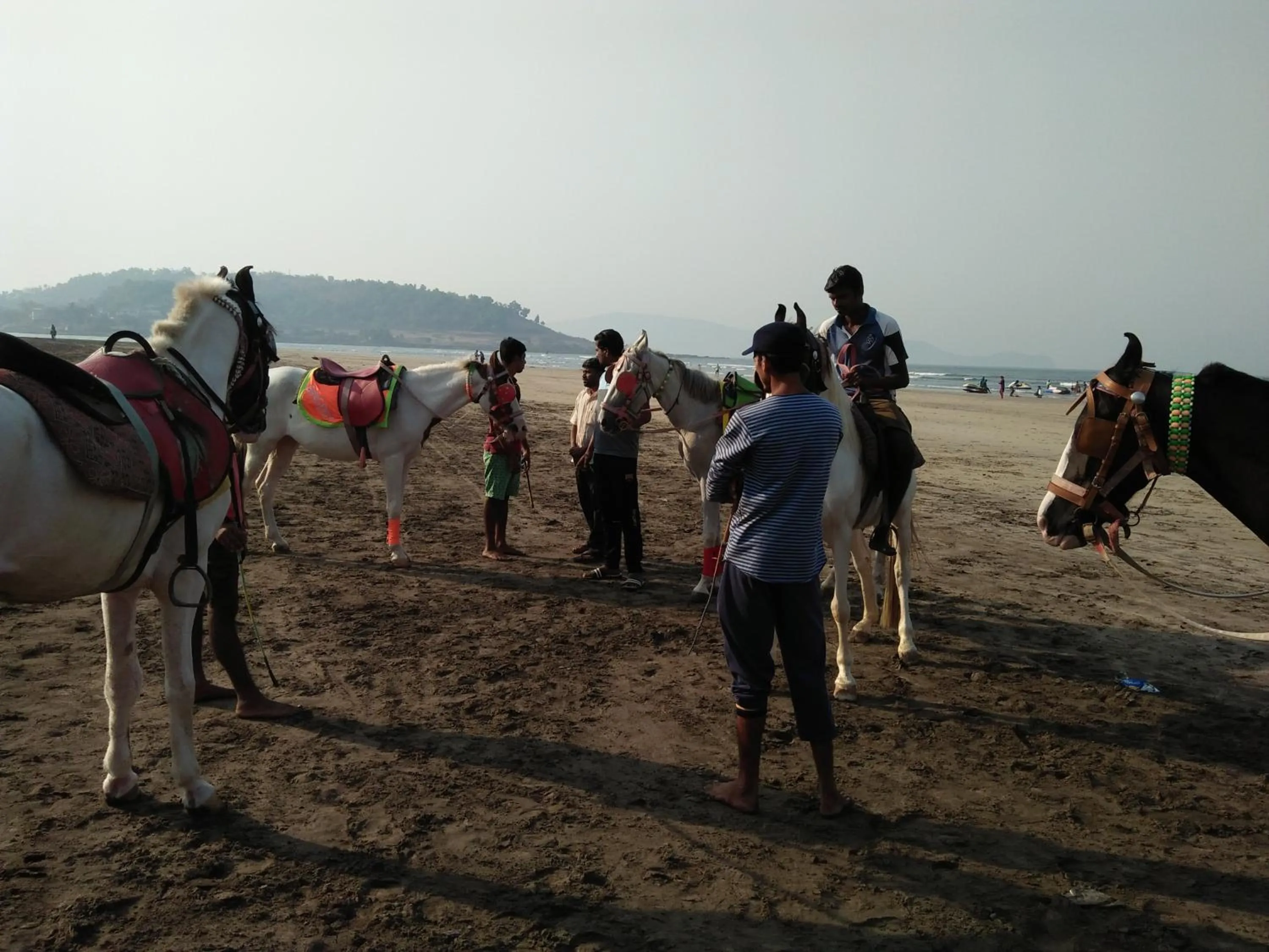 Property building in Hotel Grand Murud janjira