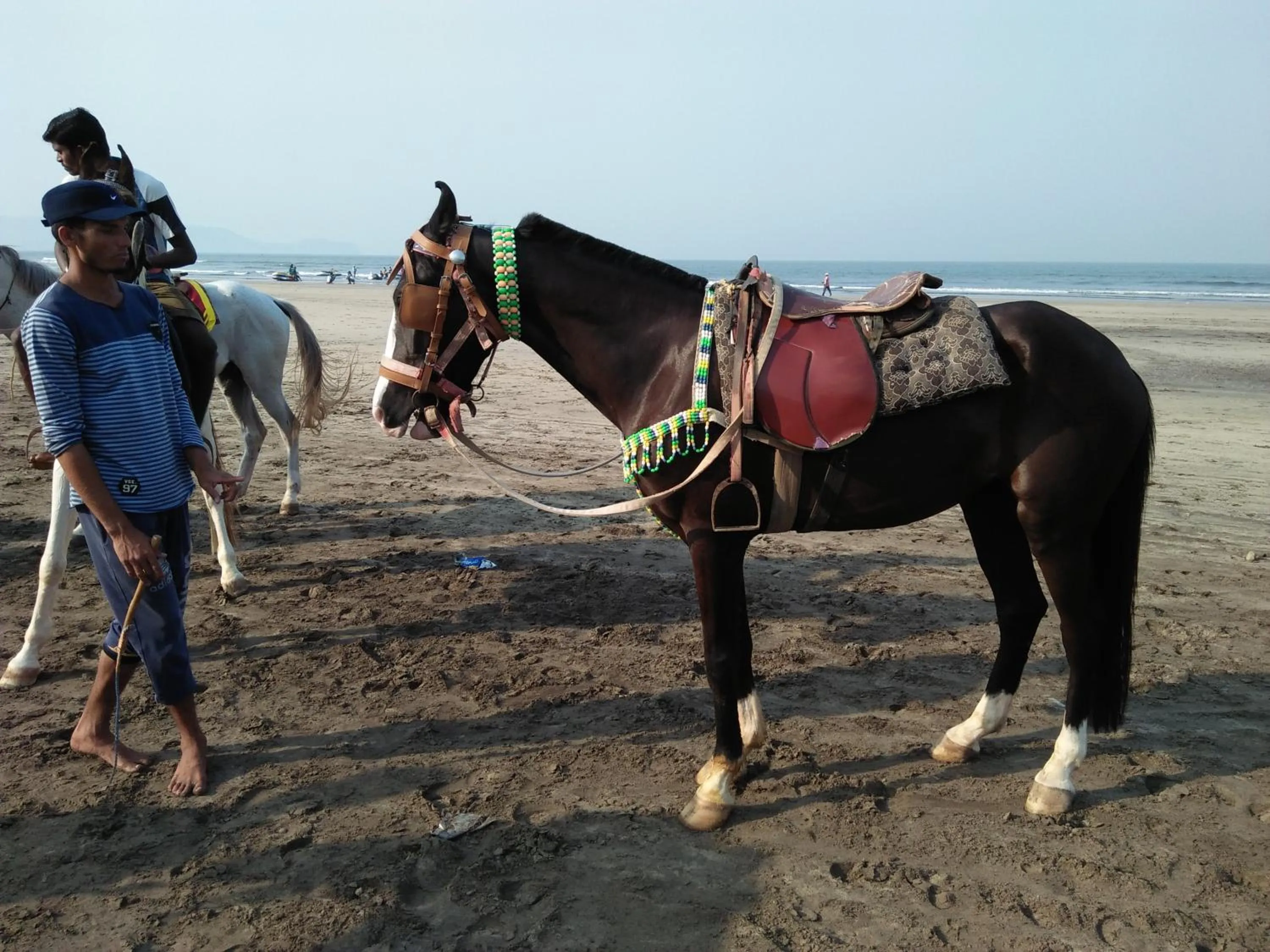 Property building in Hotel Grand Murud janjira