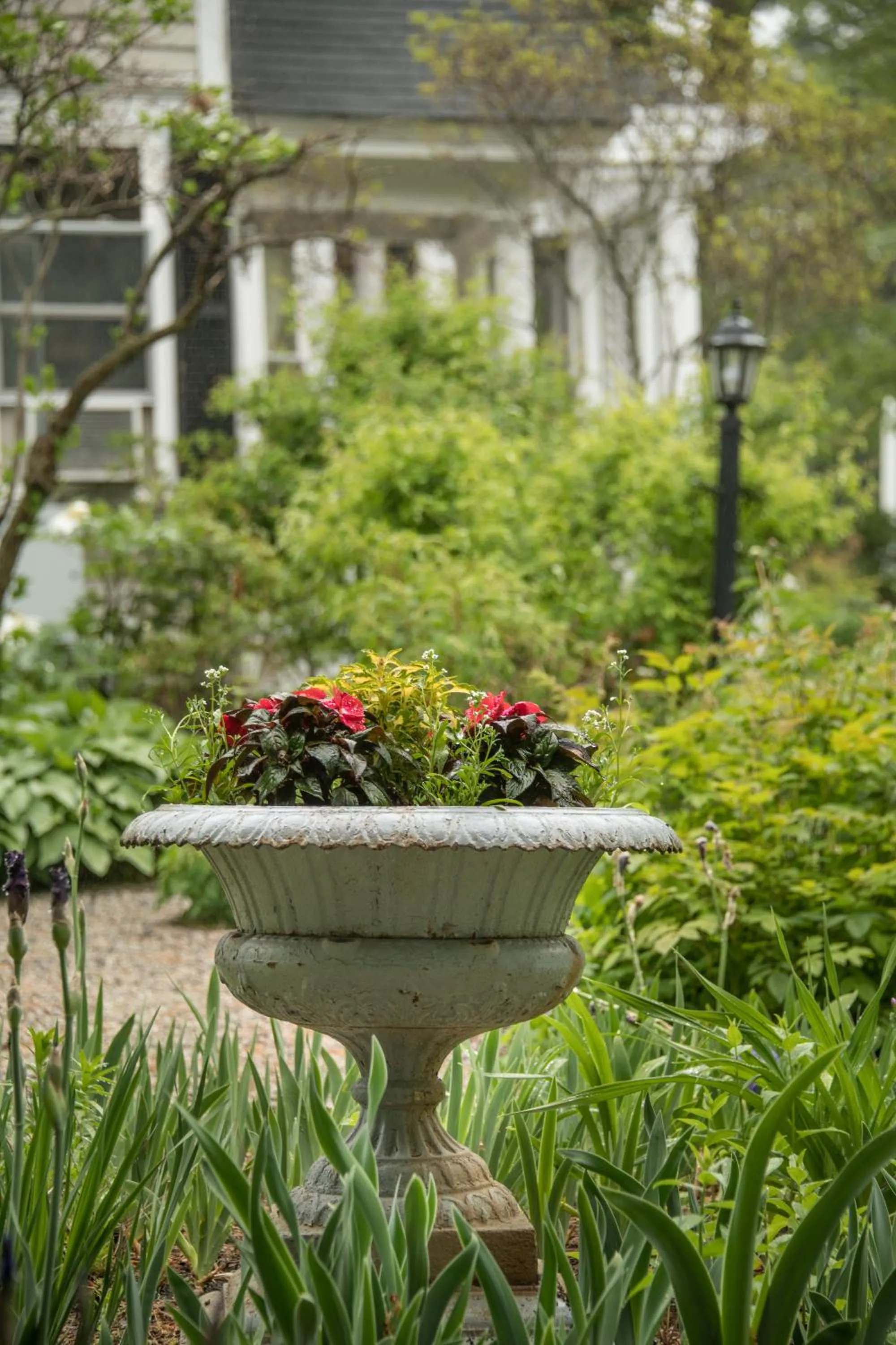 Garden in Mira Monte Inn & Suites