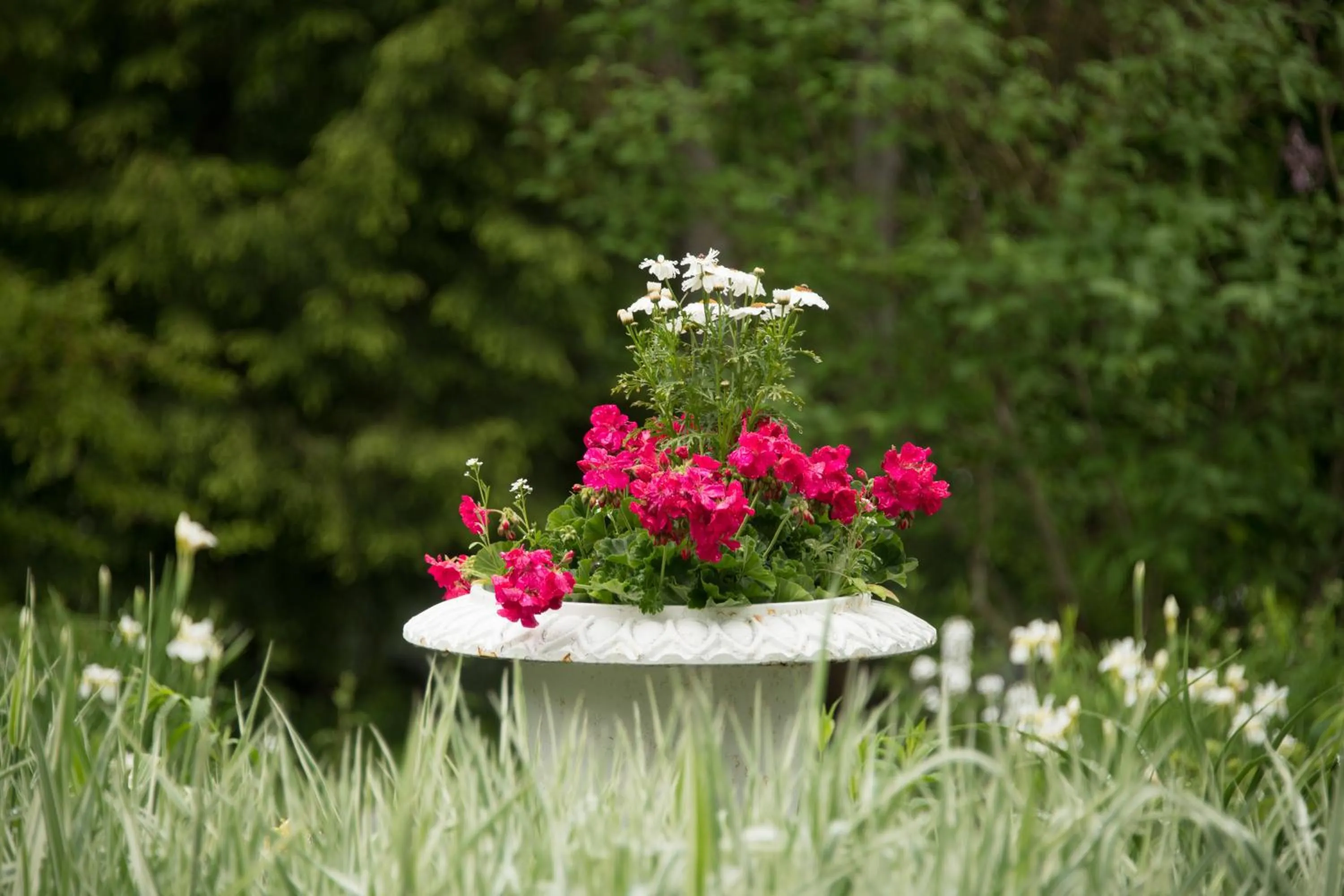 Garden in Mira Monte Inn & Suites