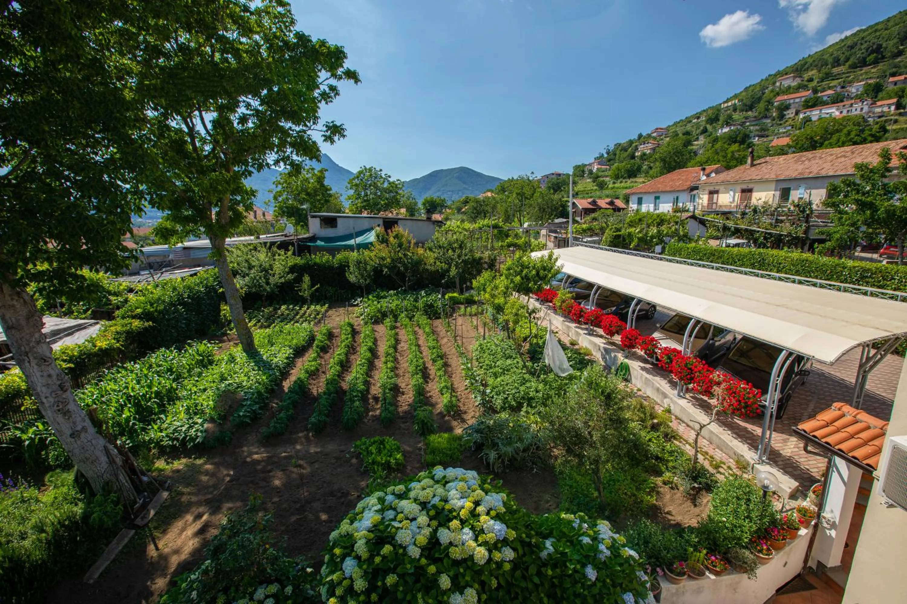 Garden in Nido Degli Dei