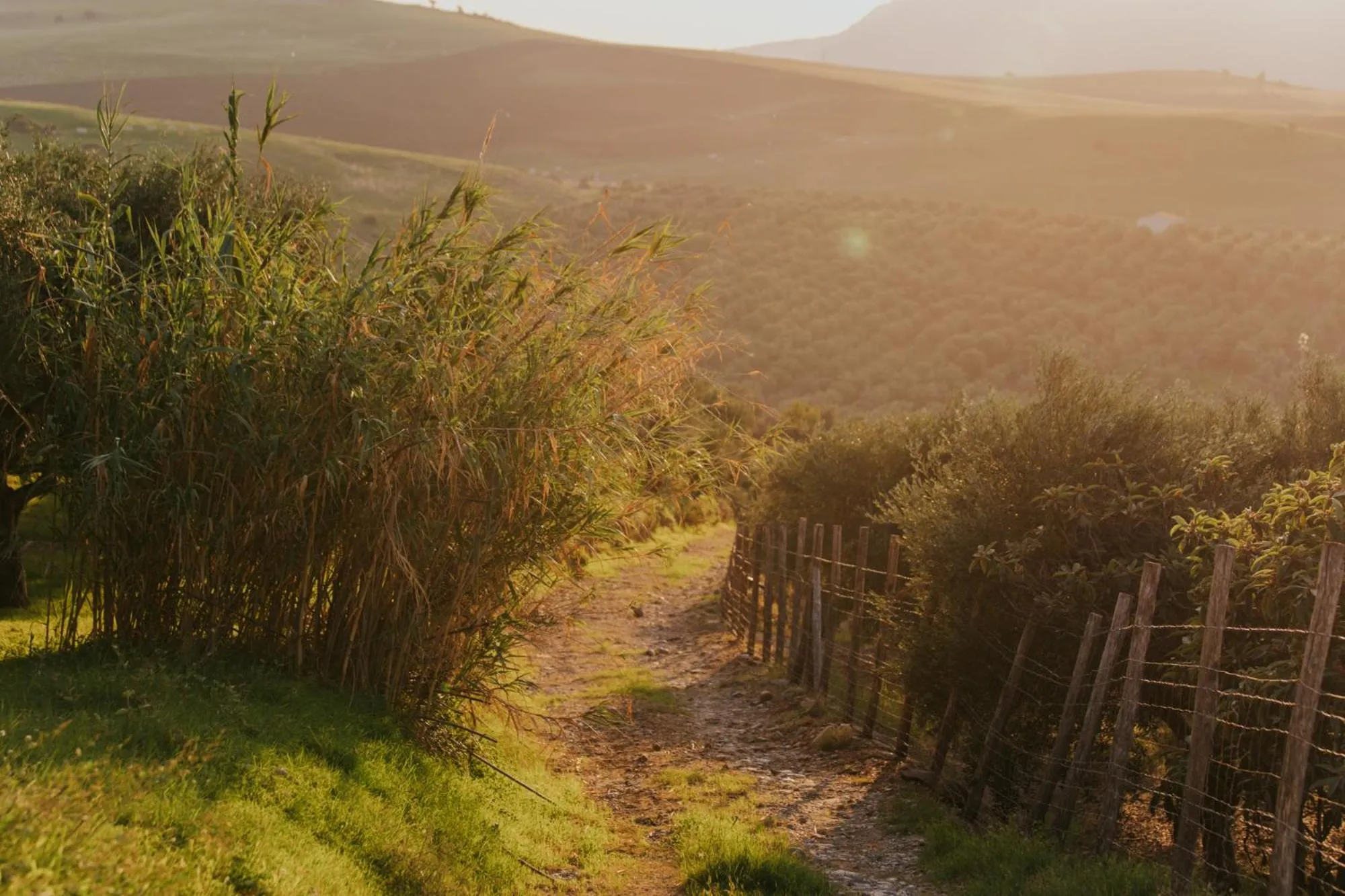 Mountain view in Terre Di Himera