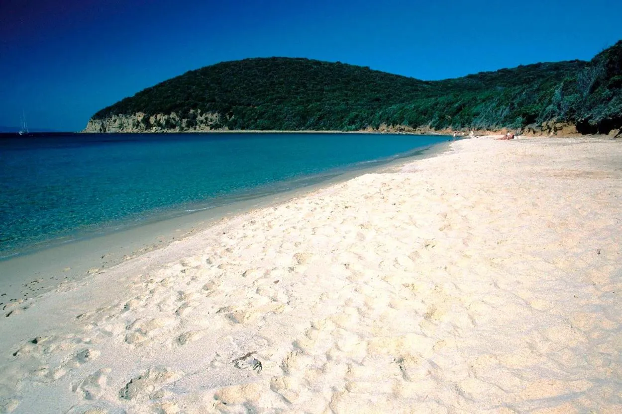 Property building in nautilus b&b suite design