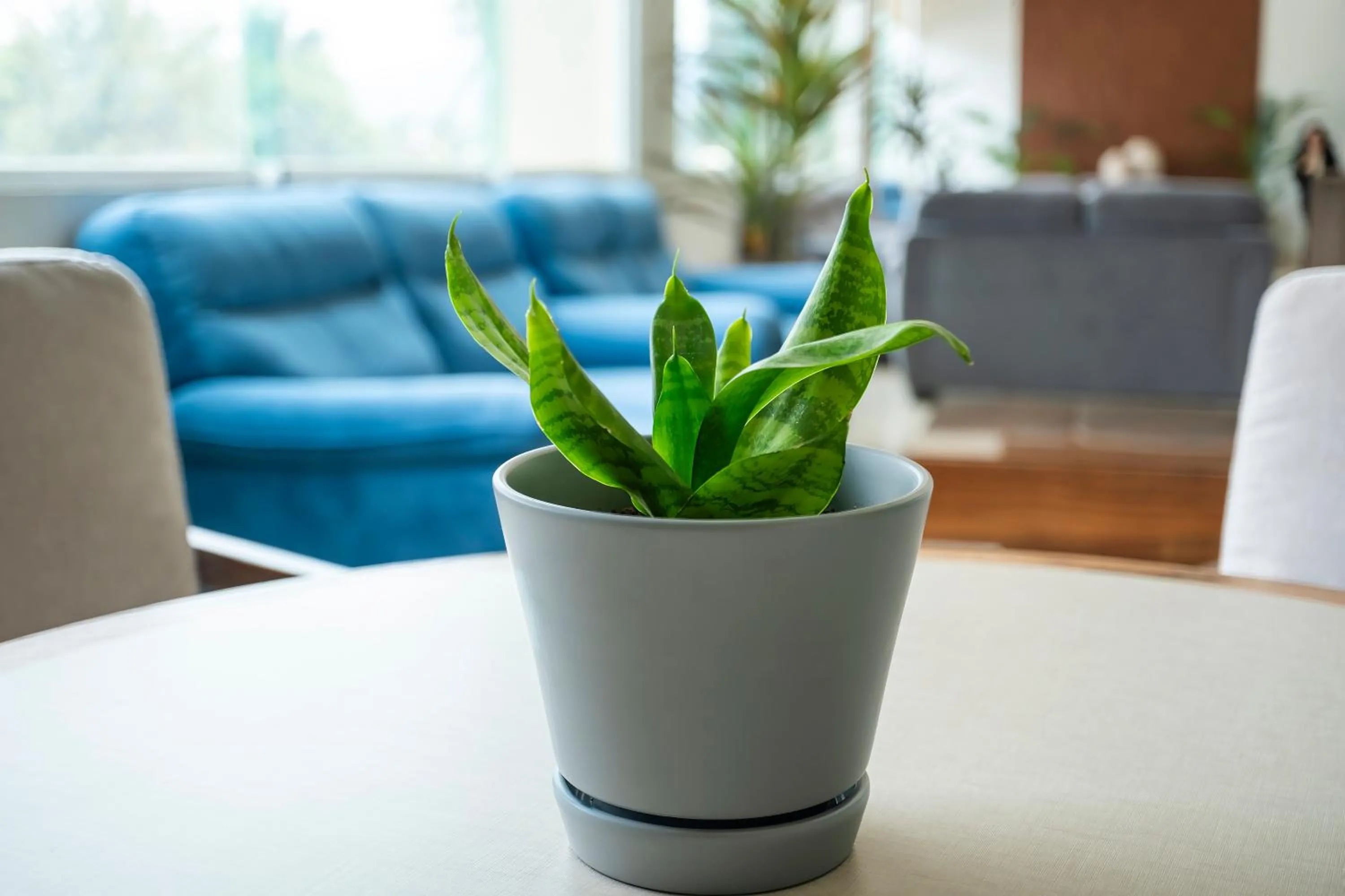 Living room in Holiday Inn Uruapan by IHG