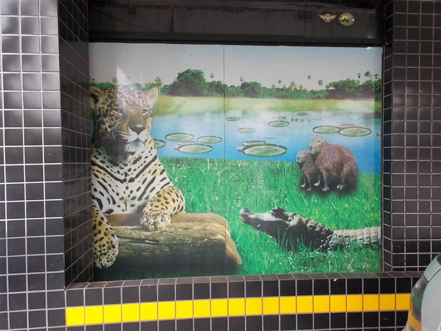 Decorative detail in Hotel Rota do Pantanal