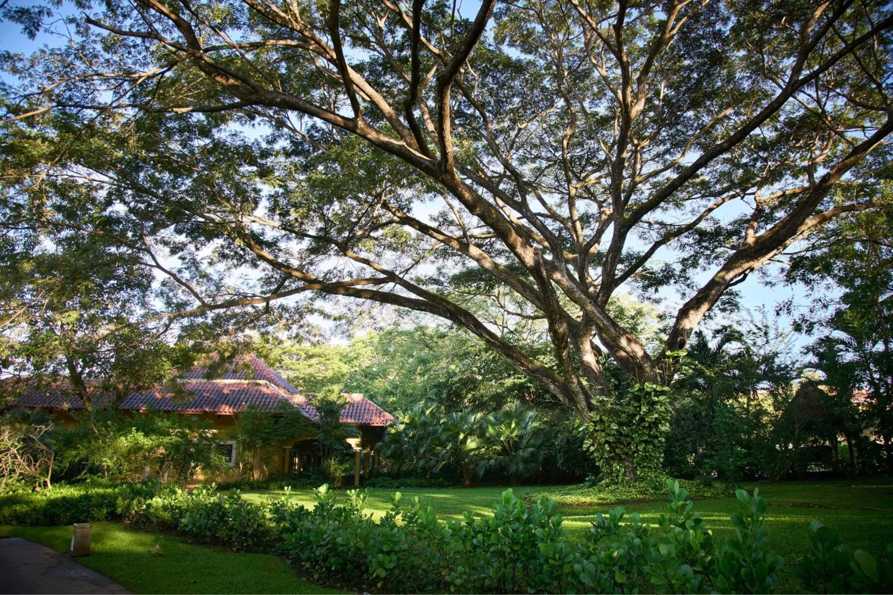 Area and facilities in The Westin Reserva Conchal, an All-Inclusive Golf Resort & Spa