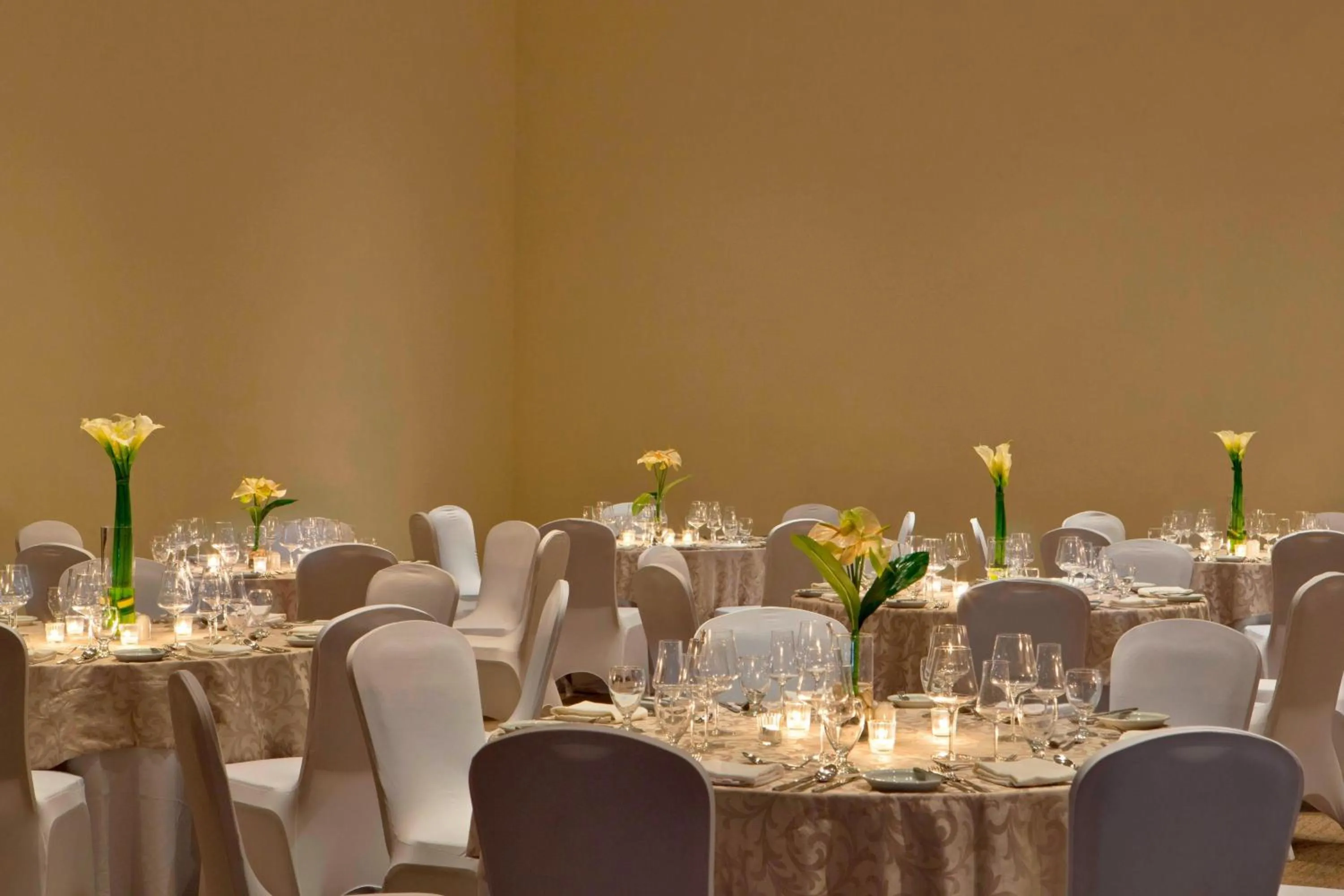 Meeting/conference room in The Westin Reserva Conchal, an All-Inclusive Golf Resort & Spa