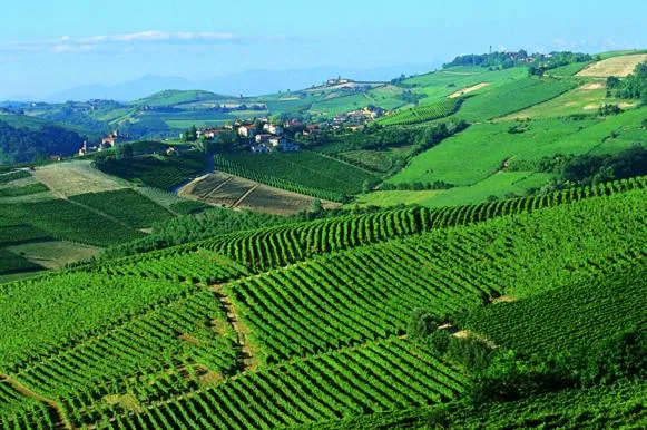 Hotel Barolo Classico