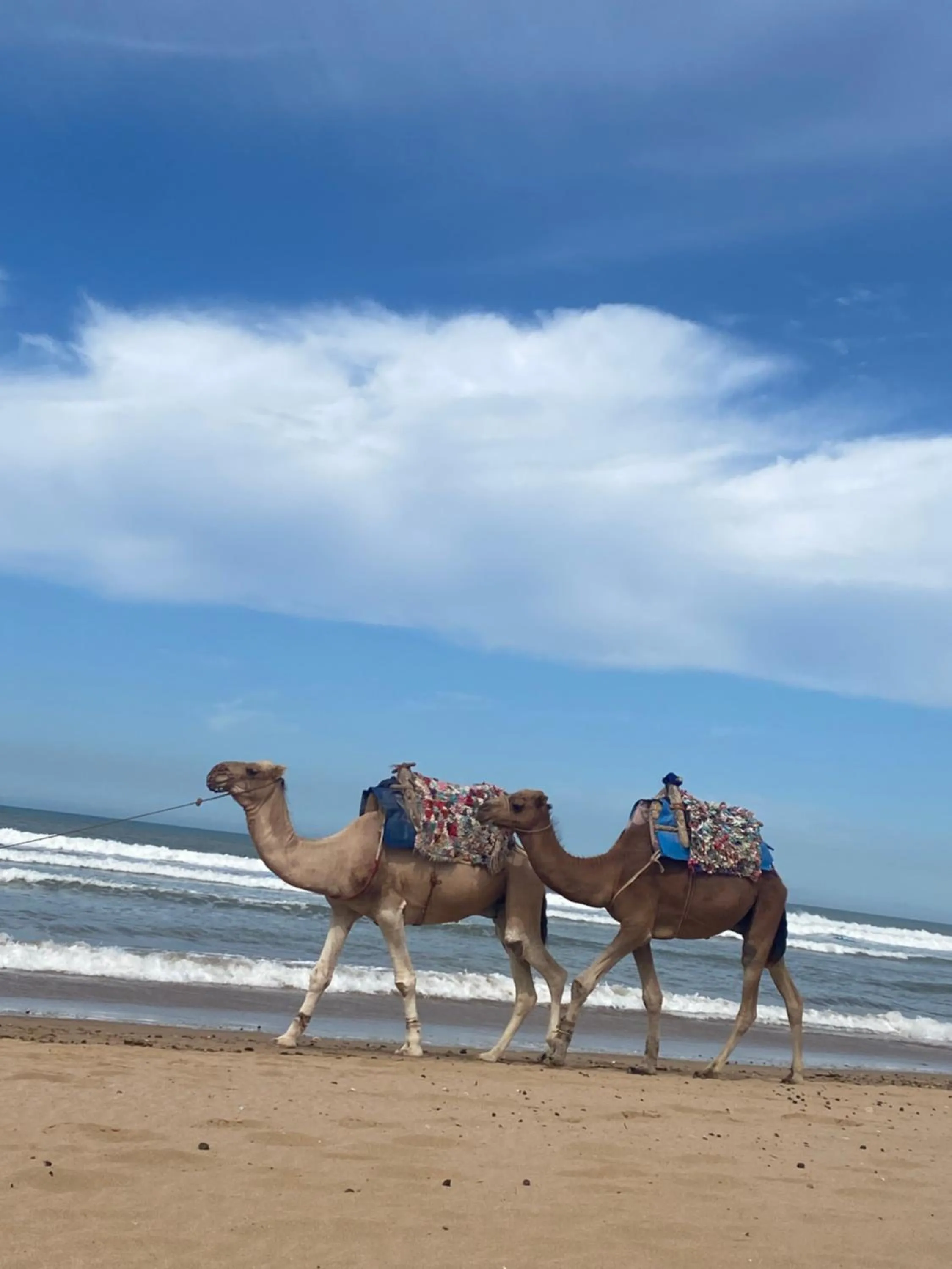 Riad Chameau FDC Hôtel SPA