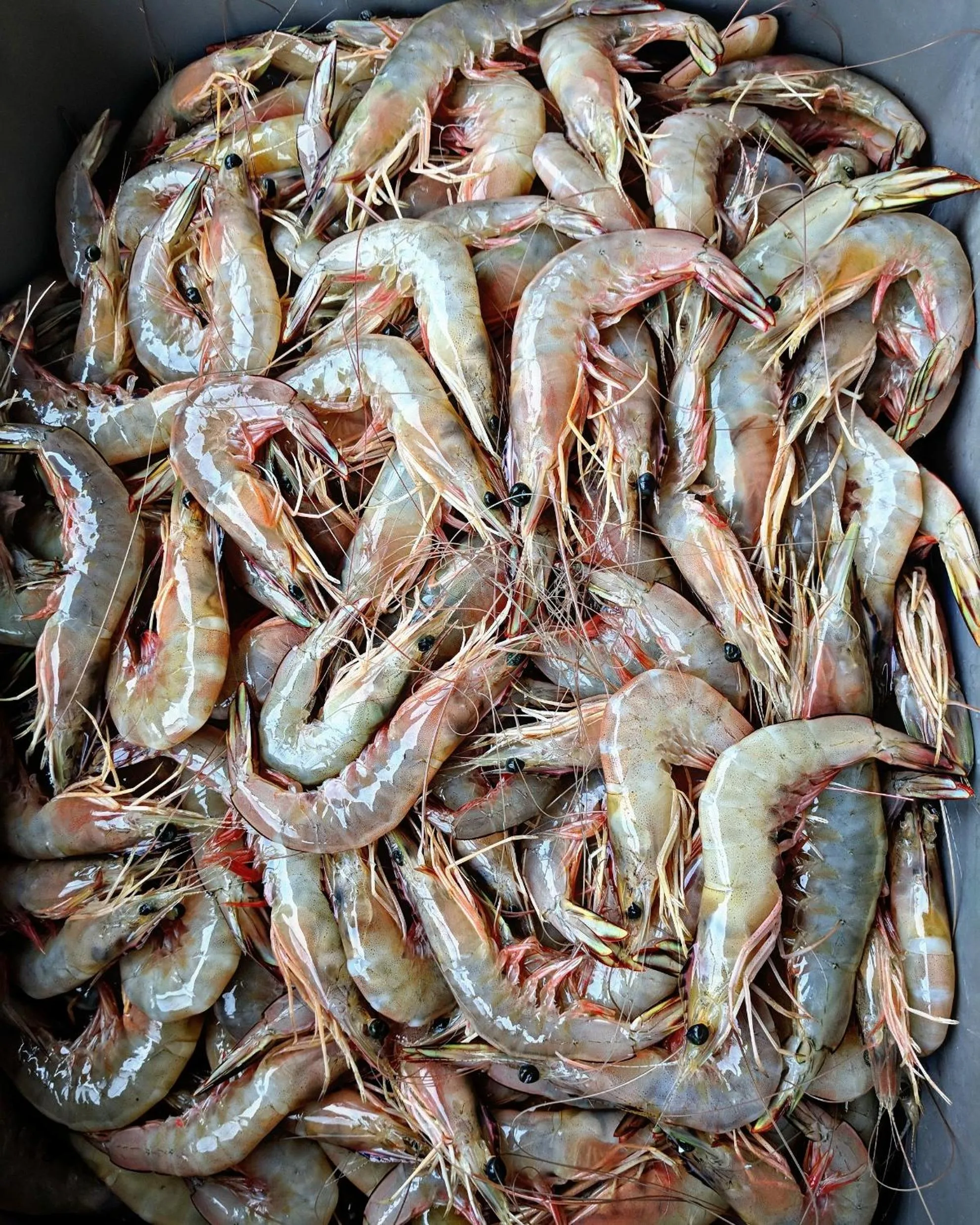 Food in Phayamas Private Beach Resort and Island Brew - Adults Only