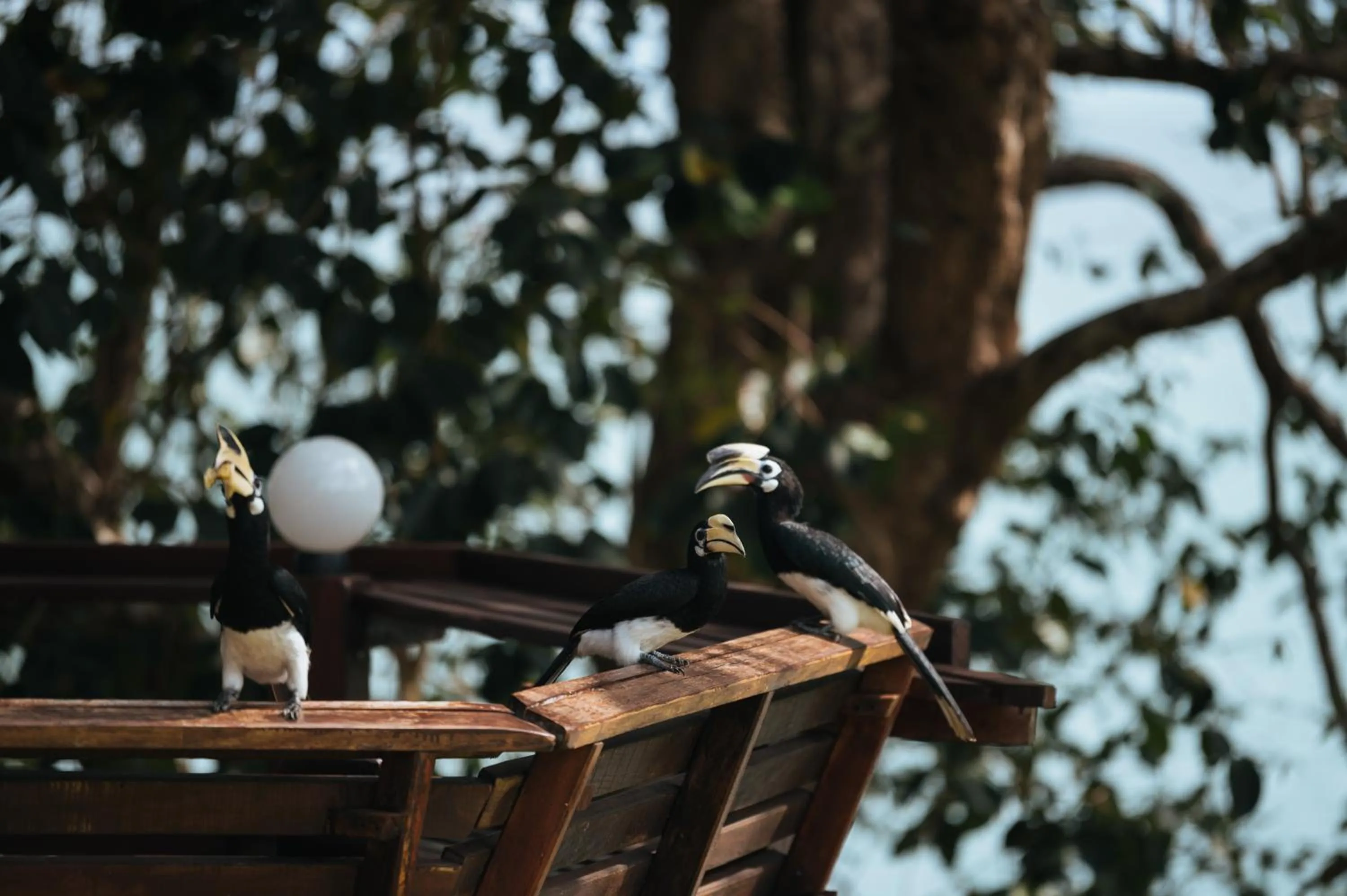 Day in Phayamas Private Beach Resort and Island Brew - Adults Only