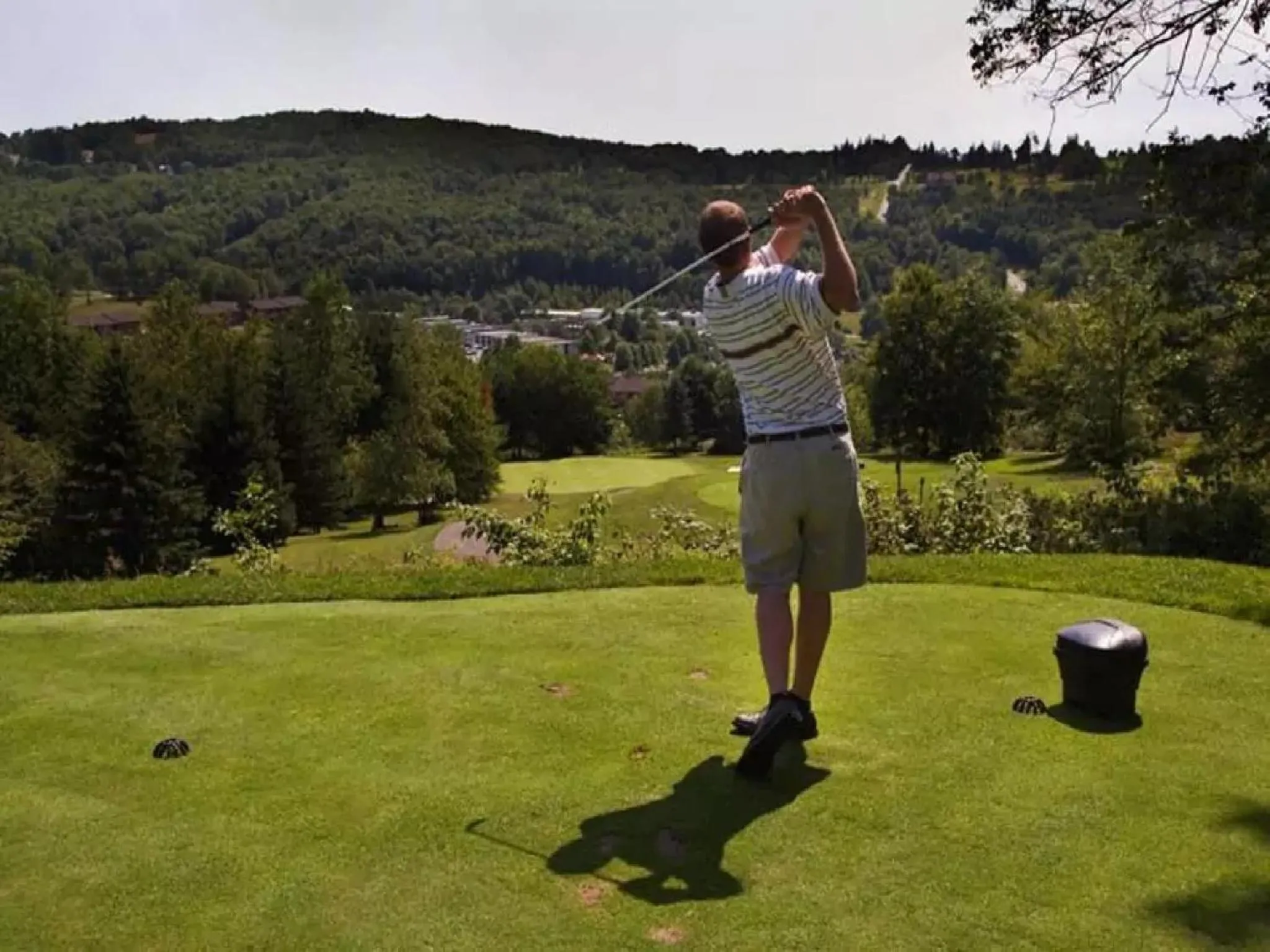 Garden in Villa Roma Resort and Conference Center